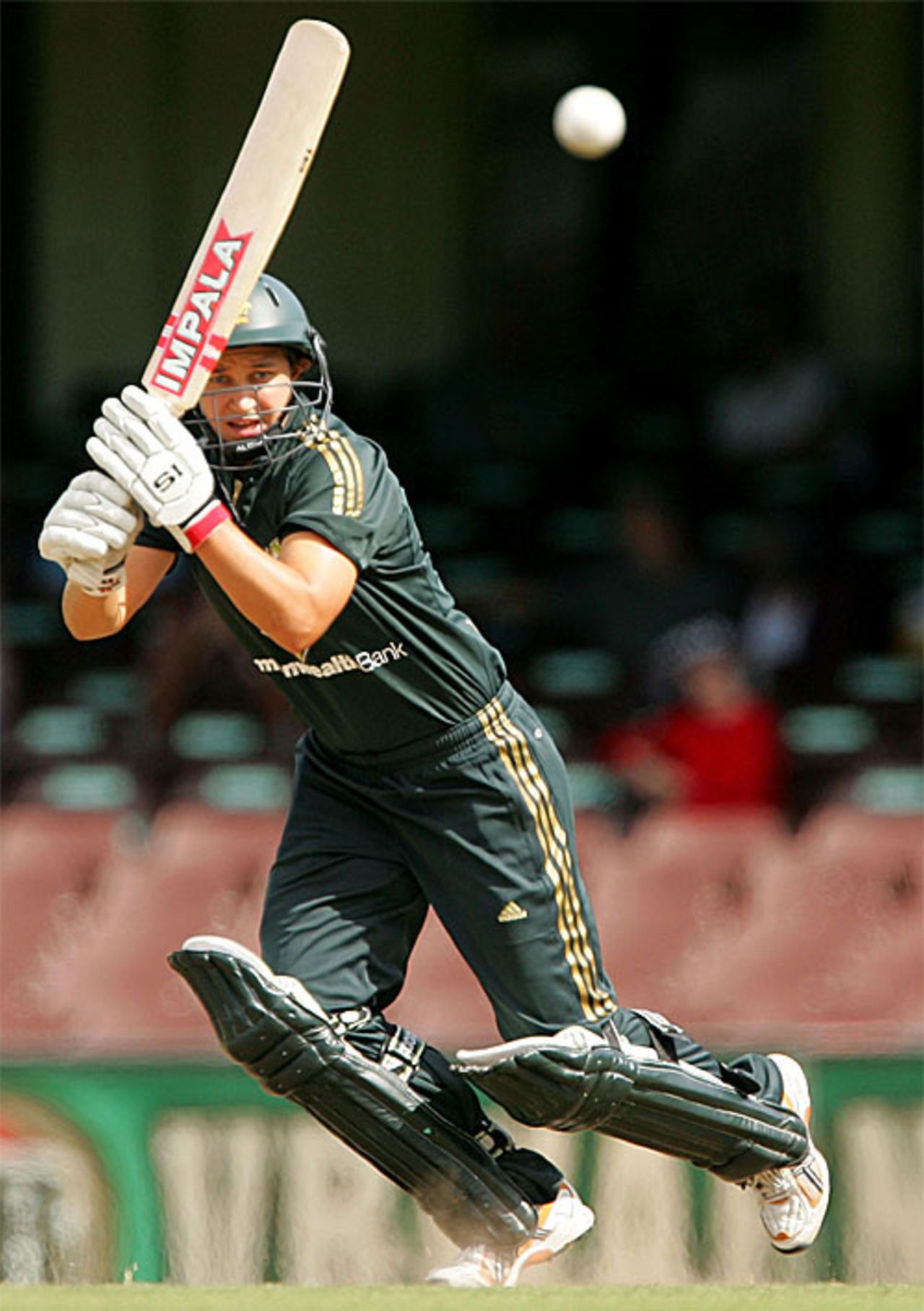 Shelley Nitschke set a matchwinning platform with her fifty, Australia v England, 5th Women's ODI, Sydney, February 11, 2008