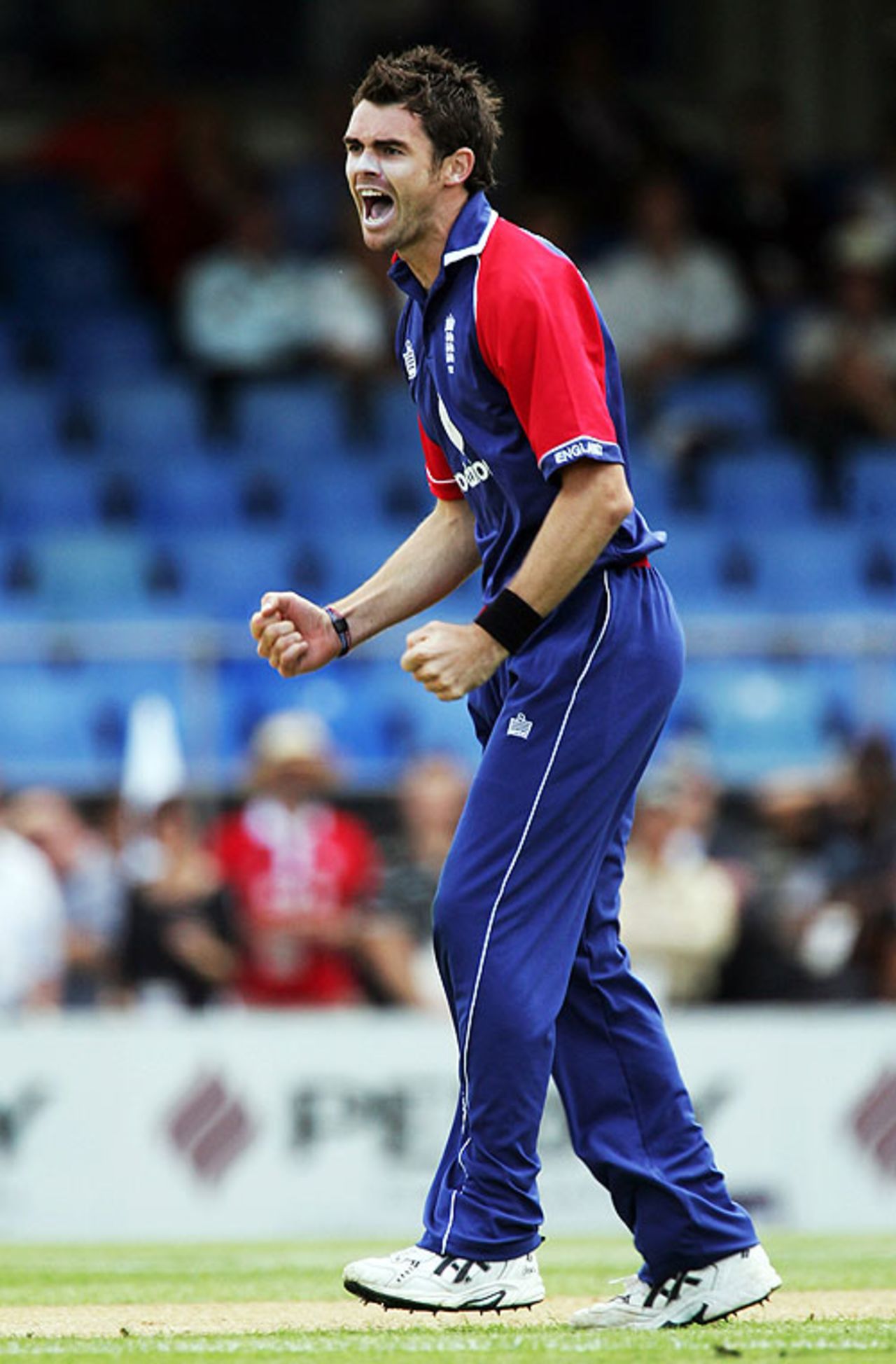 James Anderson celebrates the early dismissal of Brendon McCullum, New Zealand v England, 3rd ODI, Auckland, February 15, 2008