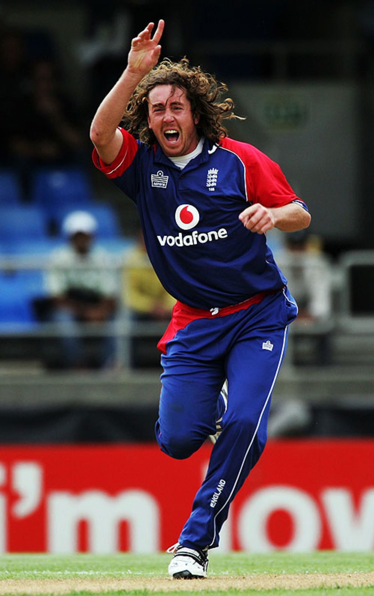 Ryan Sidebottom appeals in vain, New Zealand v England, 3rd ODI, Auckland, February 15, 2008