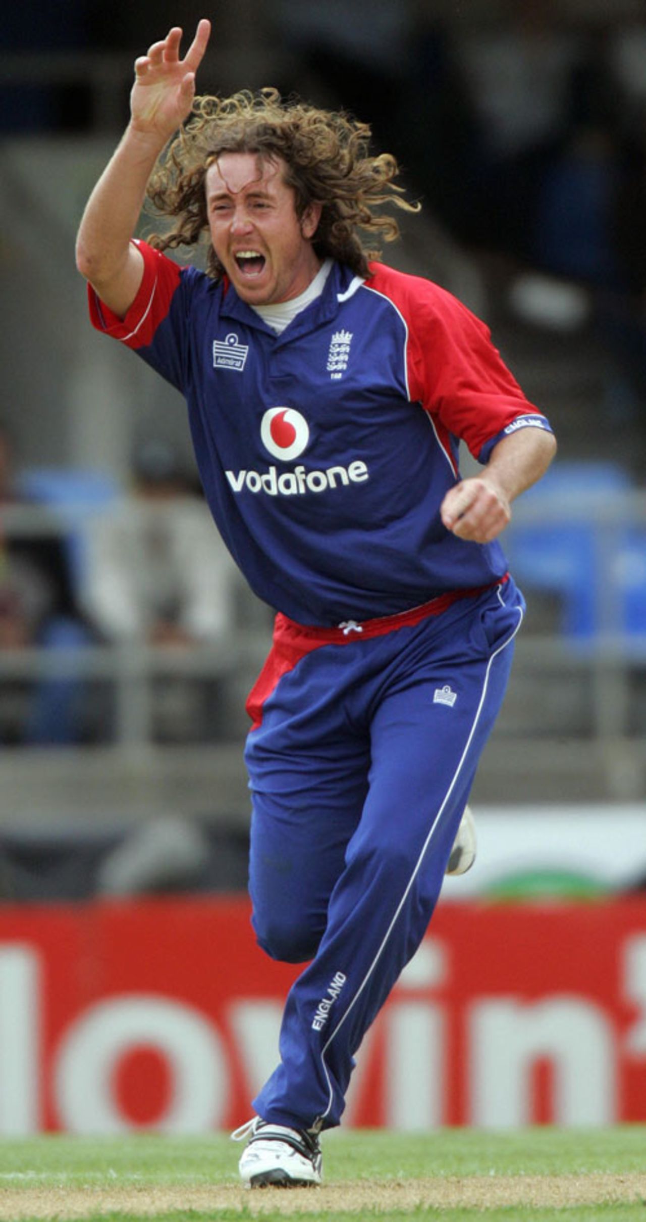 Ryan Sidebottom celebrates the wicket of Jacob Oram, New Zealand v England, 3rd ODI, Auckland, February 15, 2008