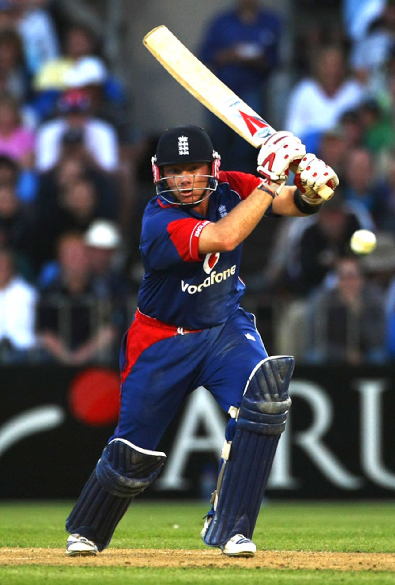 Ian Bell pushes off the back foot, New Zealand v England, 3rd ODI, Auckland, February 15, 2008