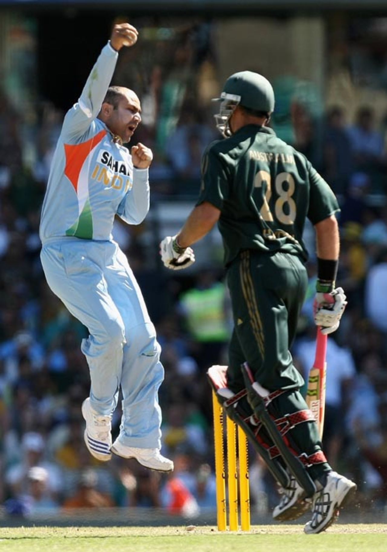 Virender Sehwag exults after effecting Matthew Hayden's dismissal, 
Australia v India, 10th ODI, CB Series, Sydney, February 24, 2008