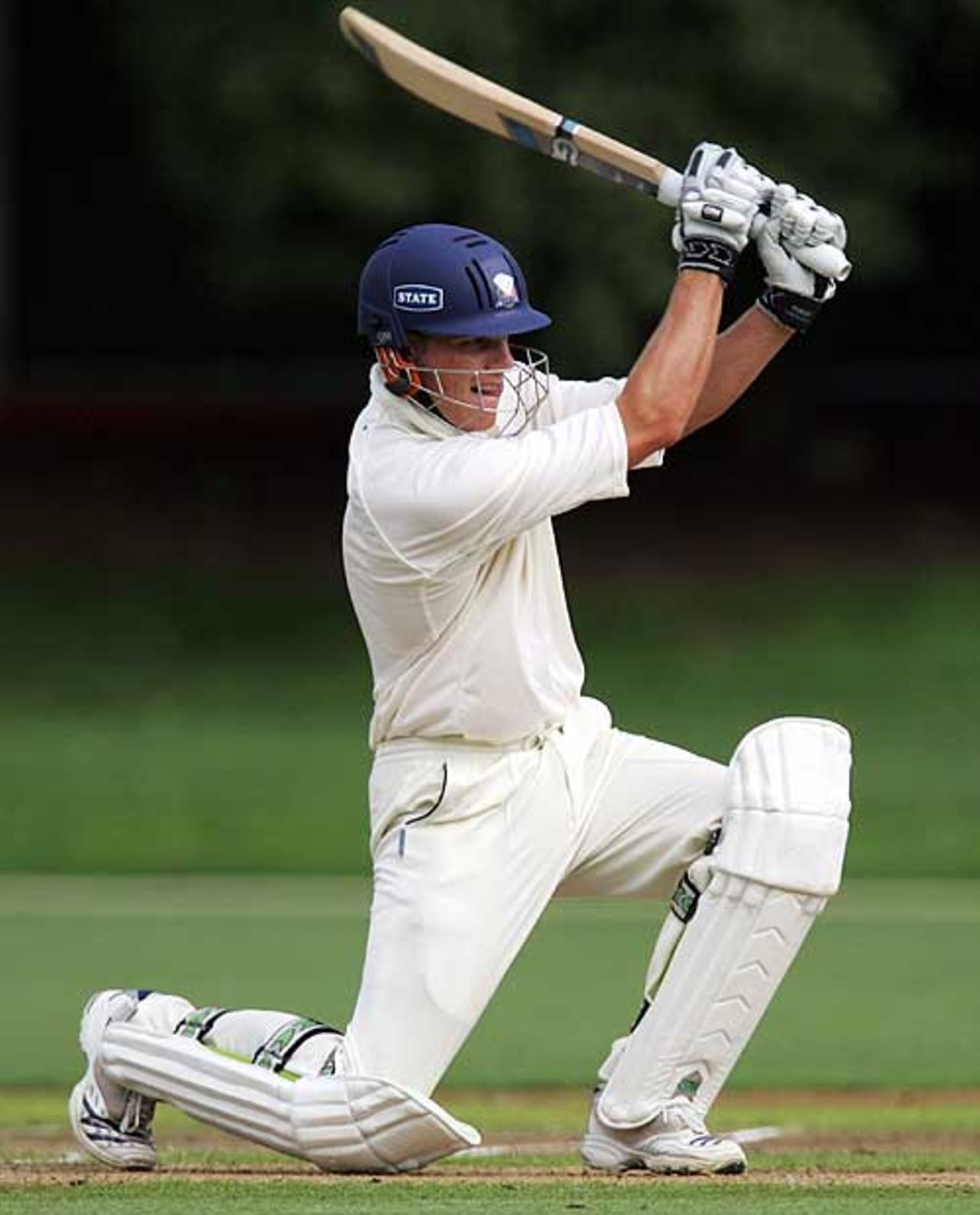 Rob Nicol scored 34 against Wellington, Auckland v Wellington, State Championship, 1st day, Auckland, March 6, 2008