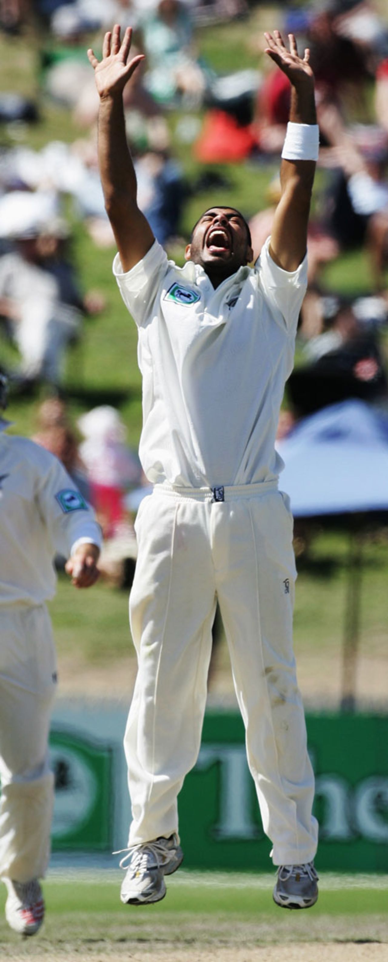 Jeetan Patel's joy knows no bounds as he dismisses Tim Ambrose , New Zealand v England, 1st Test, Hamilton, March 7, 2008