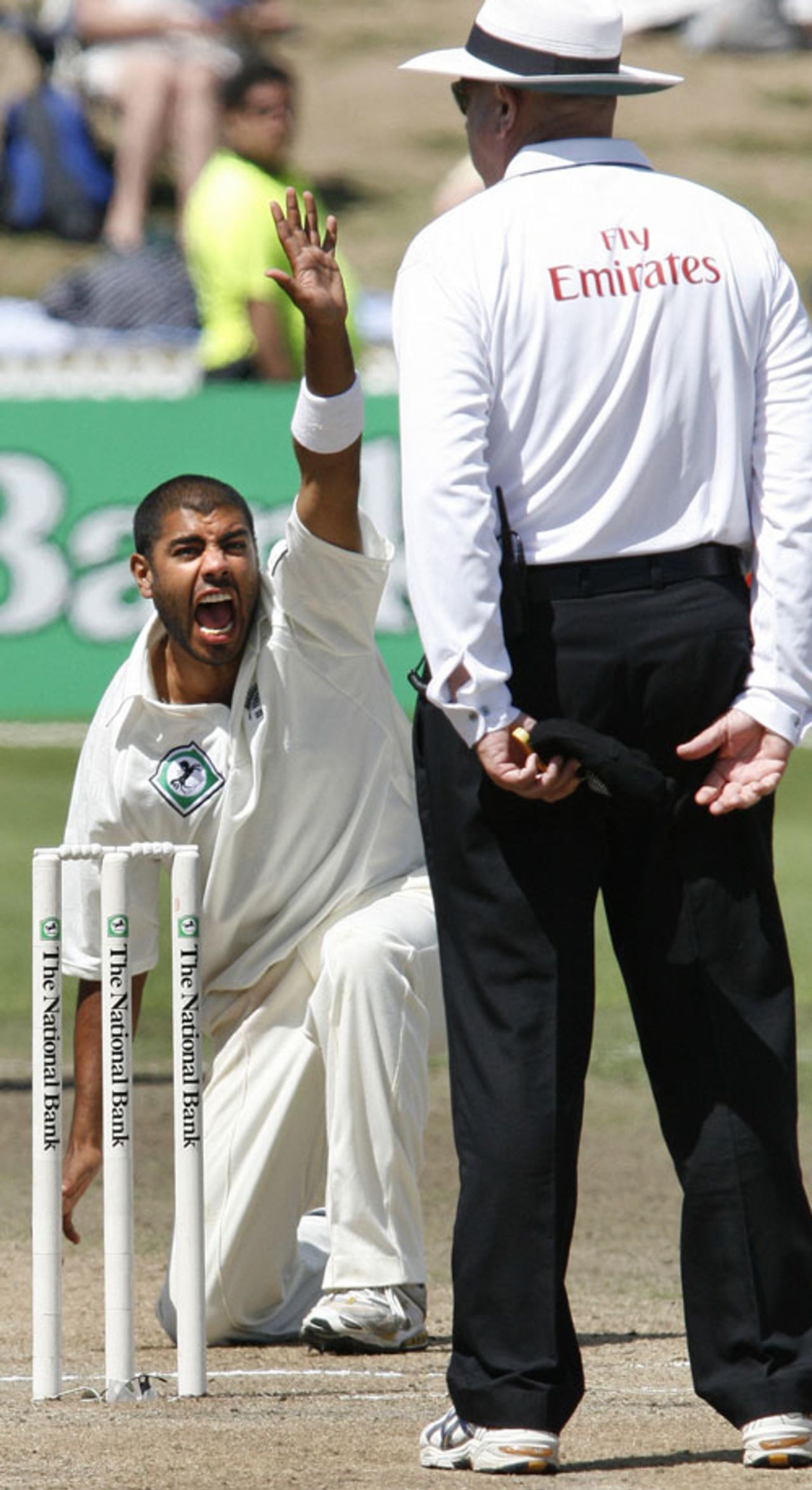 Jeetan Patel roars an appeal, New Zealand v England, 1st Test, Hamilton, March 7, 2008
