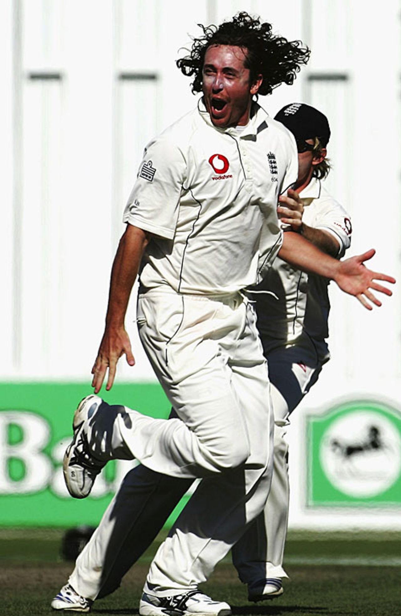 A jubilant Ryan Sidebottom celebrates his hat-trick, New Zealand v England, 1st Test, Hamilton, March 8, 2008