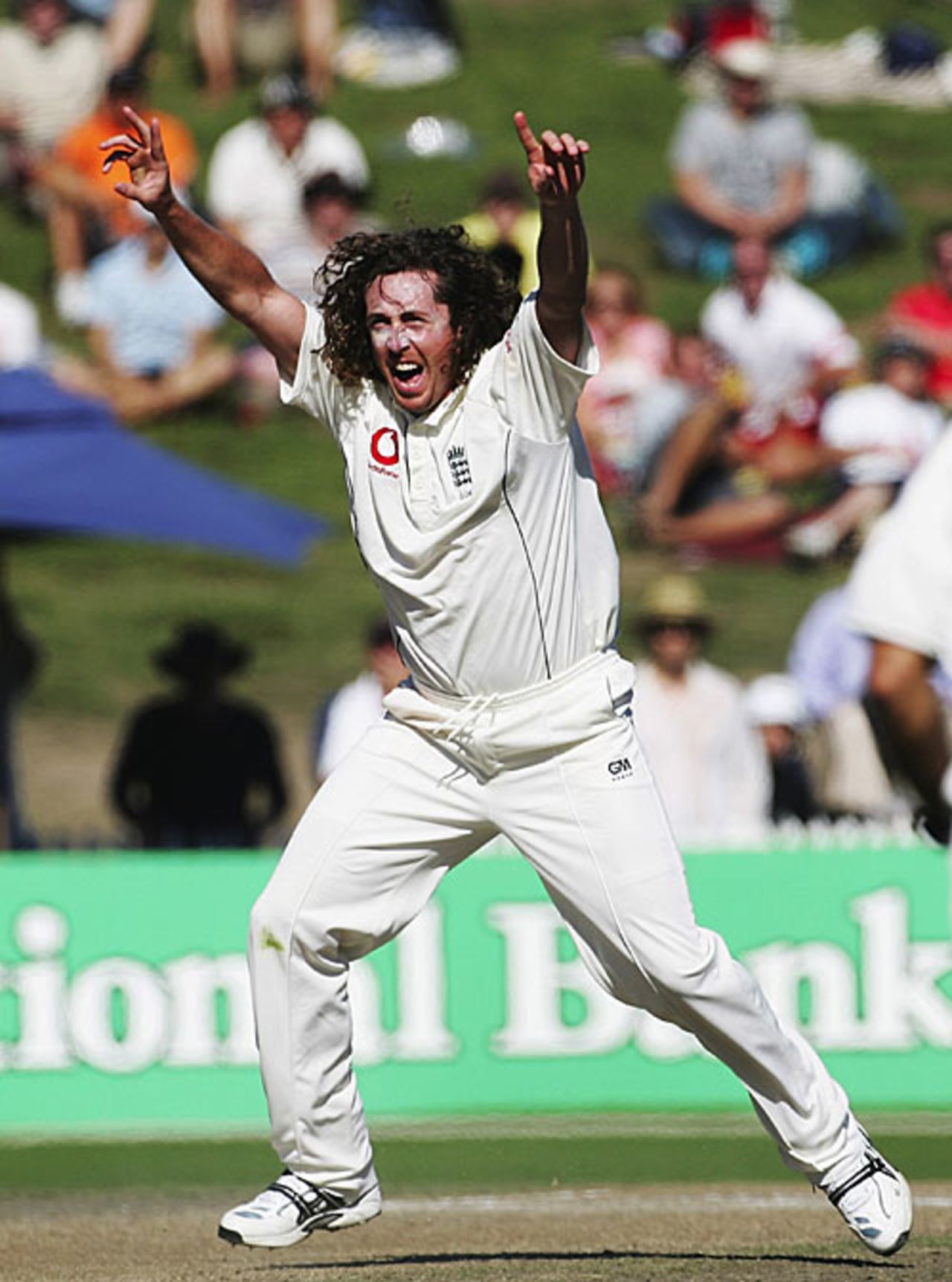 Ryan Sidebottom, arms outstretches, celebrates one of his five wickets, New Zealand v England, 1st Test, Hamilton, March 8, 2008