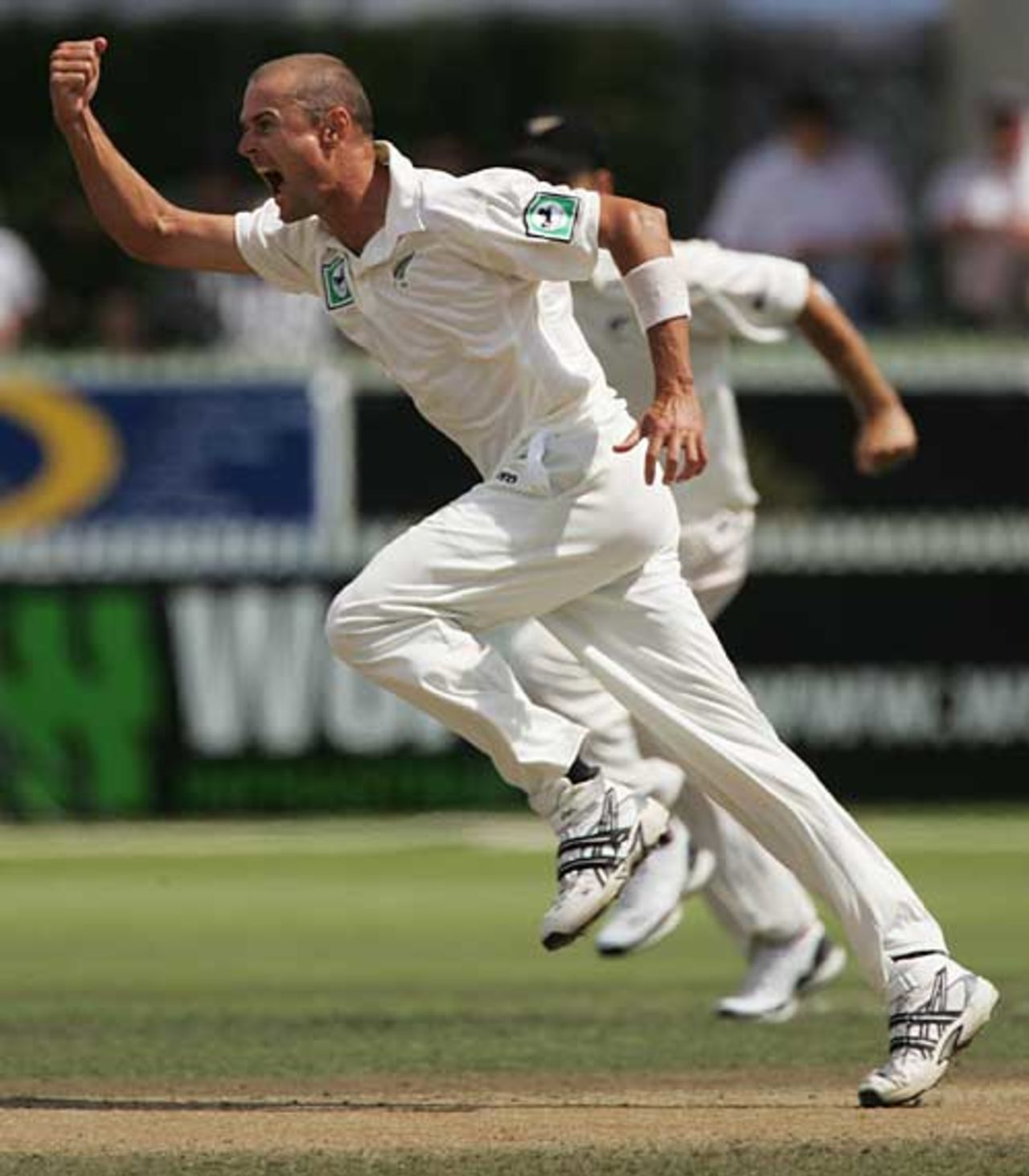 Chris Martin celebrates removing Ryan Sidebottom, New Zealand v England, 1st Test, Hamilton, March 9, 2008