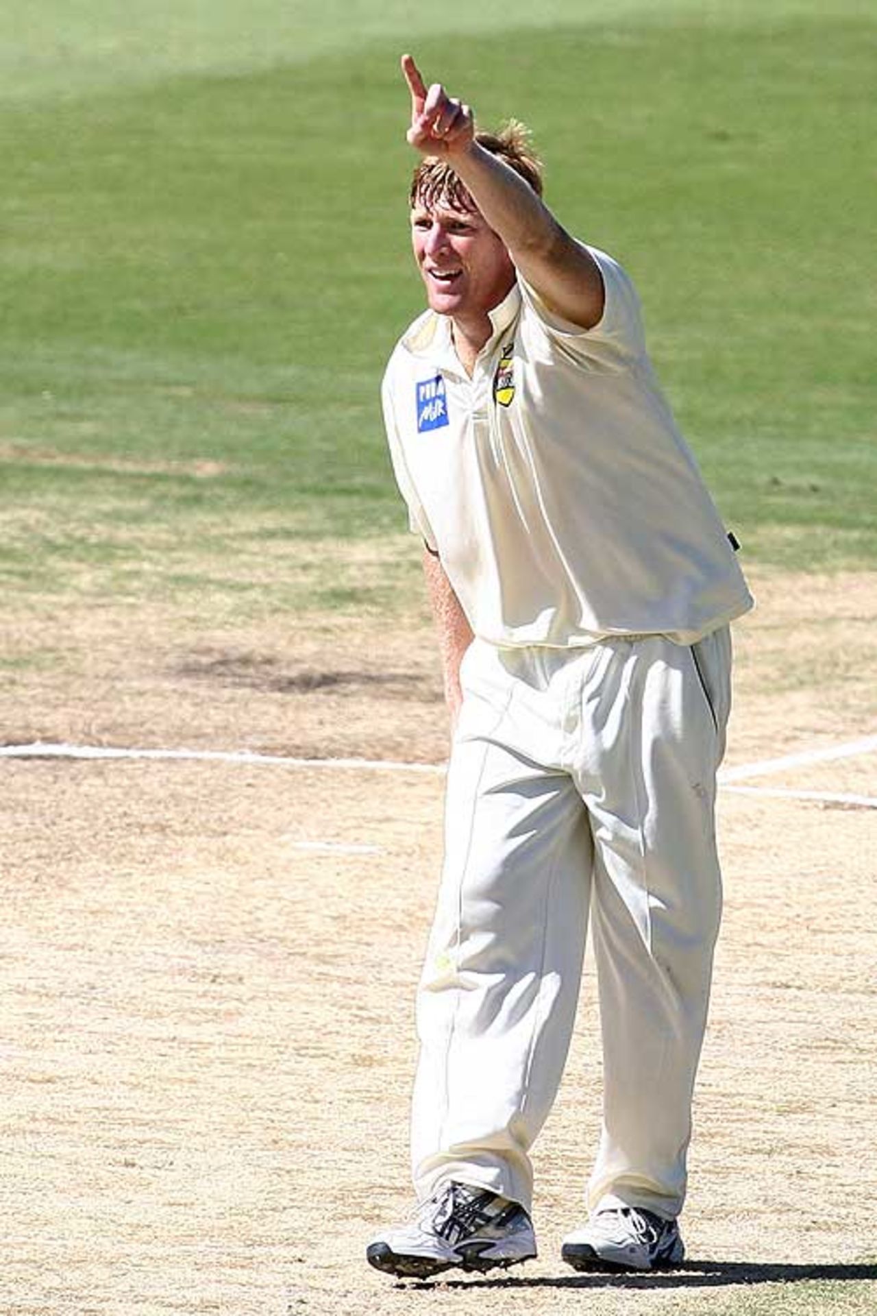 Mathew Inness' 4 for 44 helped Western Australia to victory, Western Australia v Tasmania, Pura Cup, Perth, 4th day, March 10, 2008 
