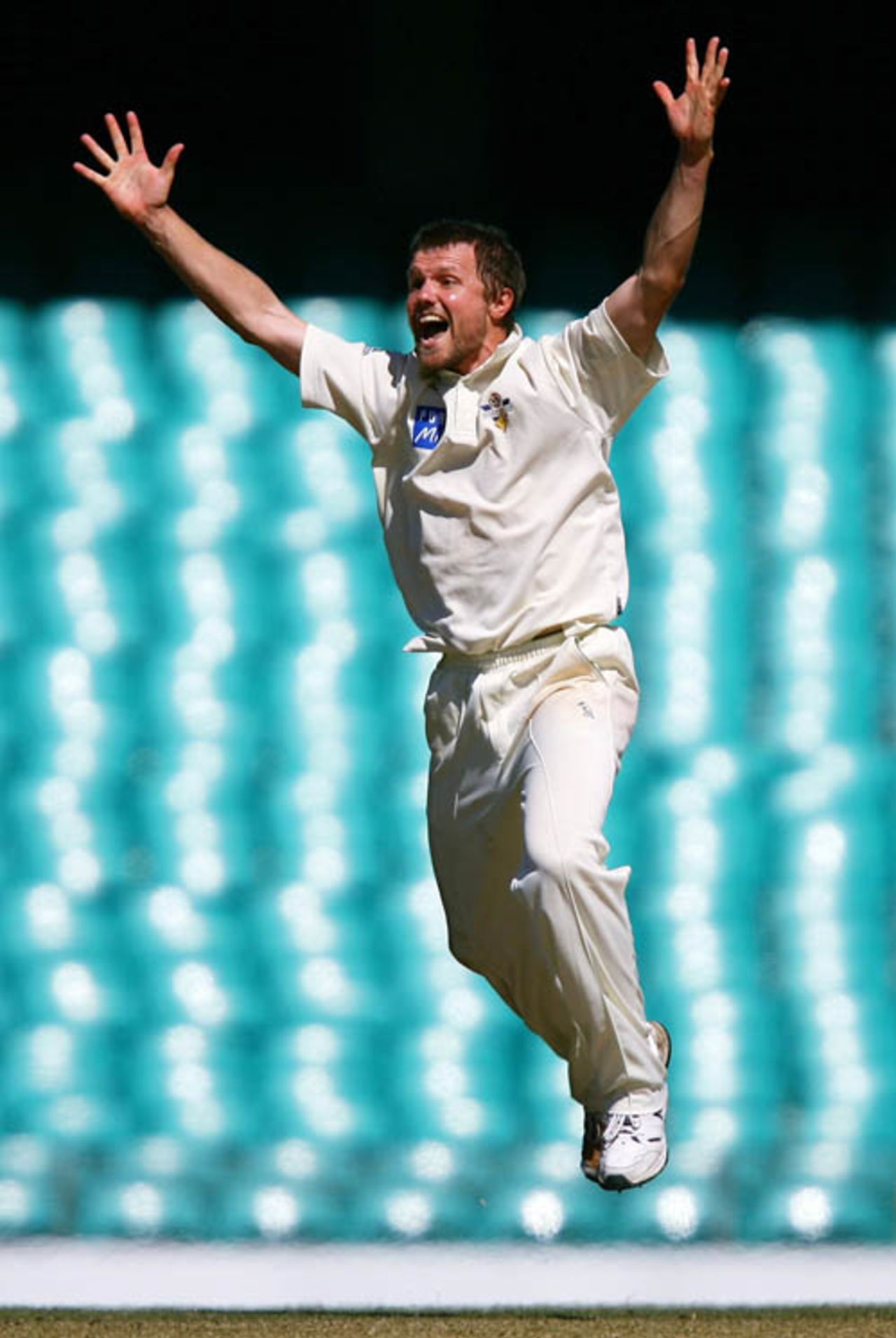 Dirk Nannes is overjoyed after dismissing Michael Clarke, New South Wales v Victoria, Pura Cup final, Sydney, 1st day, March 15, 2008