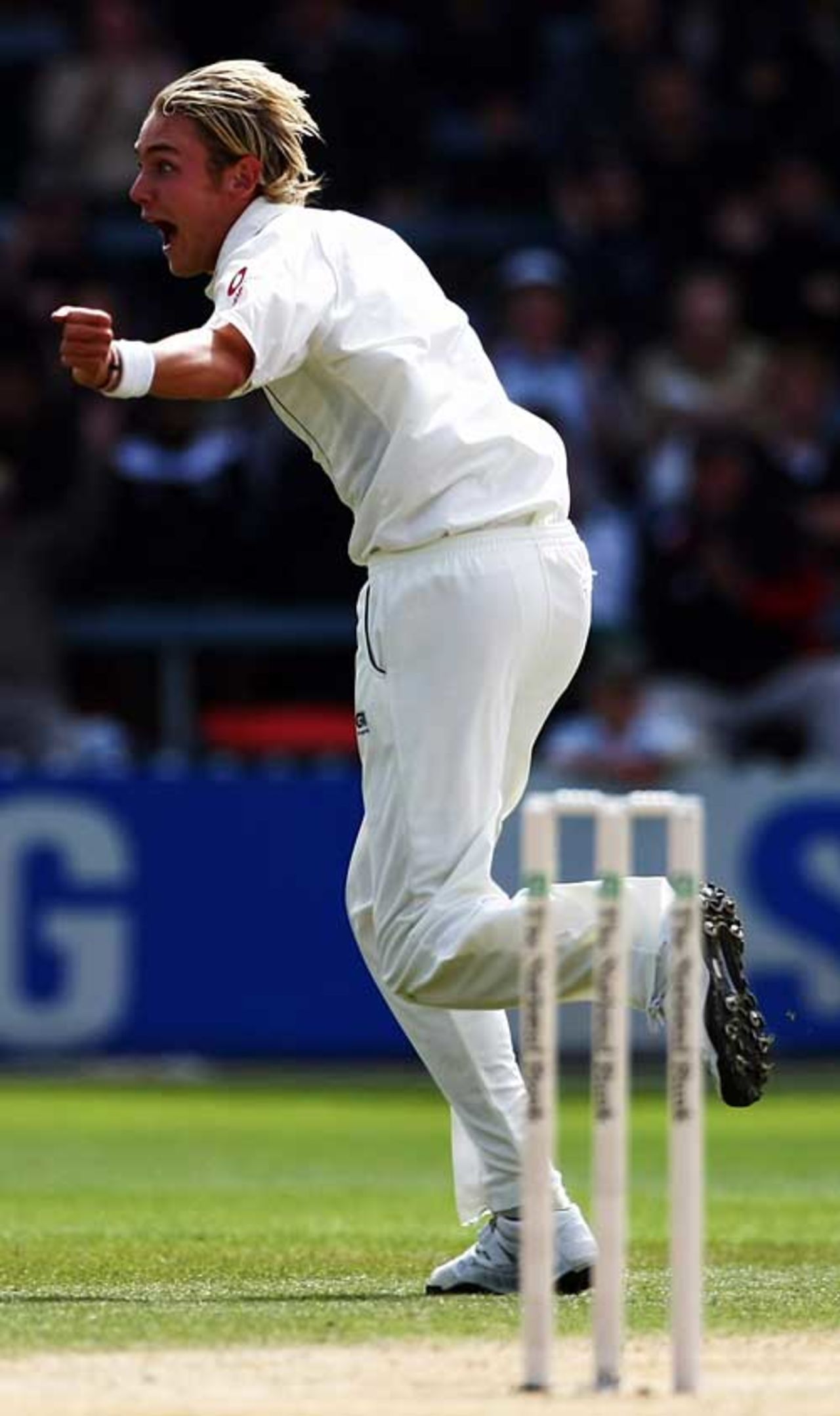 Stuart Broad shows his joy at removing Fleming, New Zealand v England, 2nd Test, 3rd day, Wellington, March 16, 2008