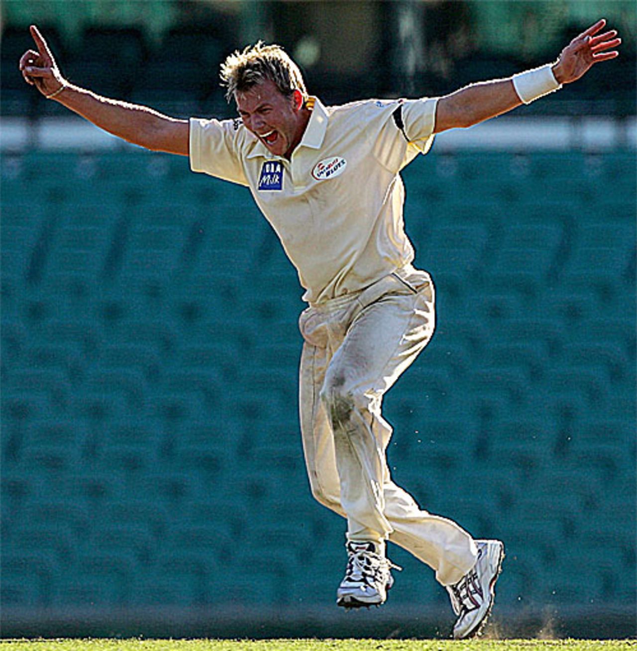 Brett Lee cleaned up the tail, New South Wales v Victoria, Pura Cup final, Sydney, 2nd day, March 16, 2008