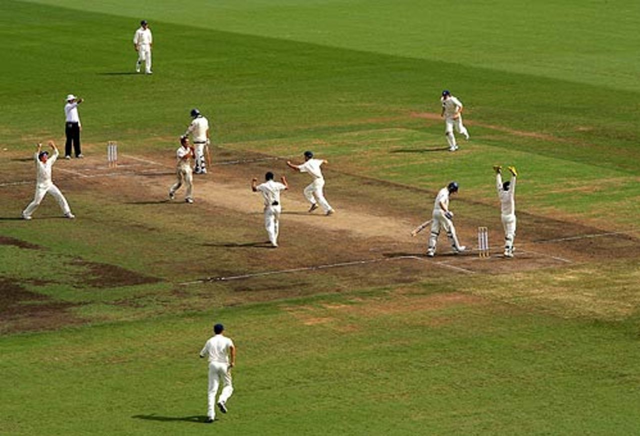 New South Wales celebrate winning the Pura Cup as the last Victoria wicket falls, New South Wales v Victoria, Pura Cup final, 5th day, Sydney, March 19, 2008
