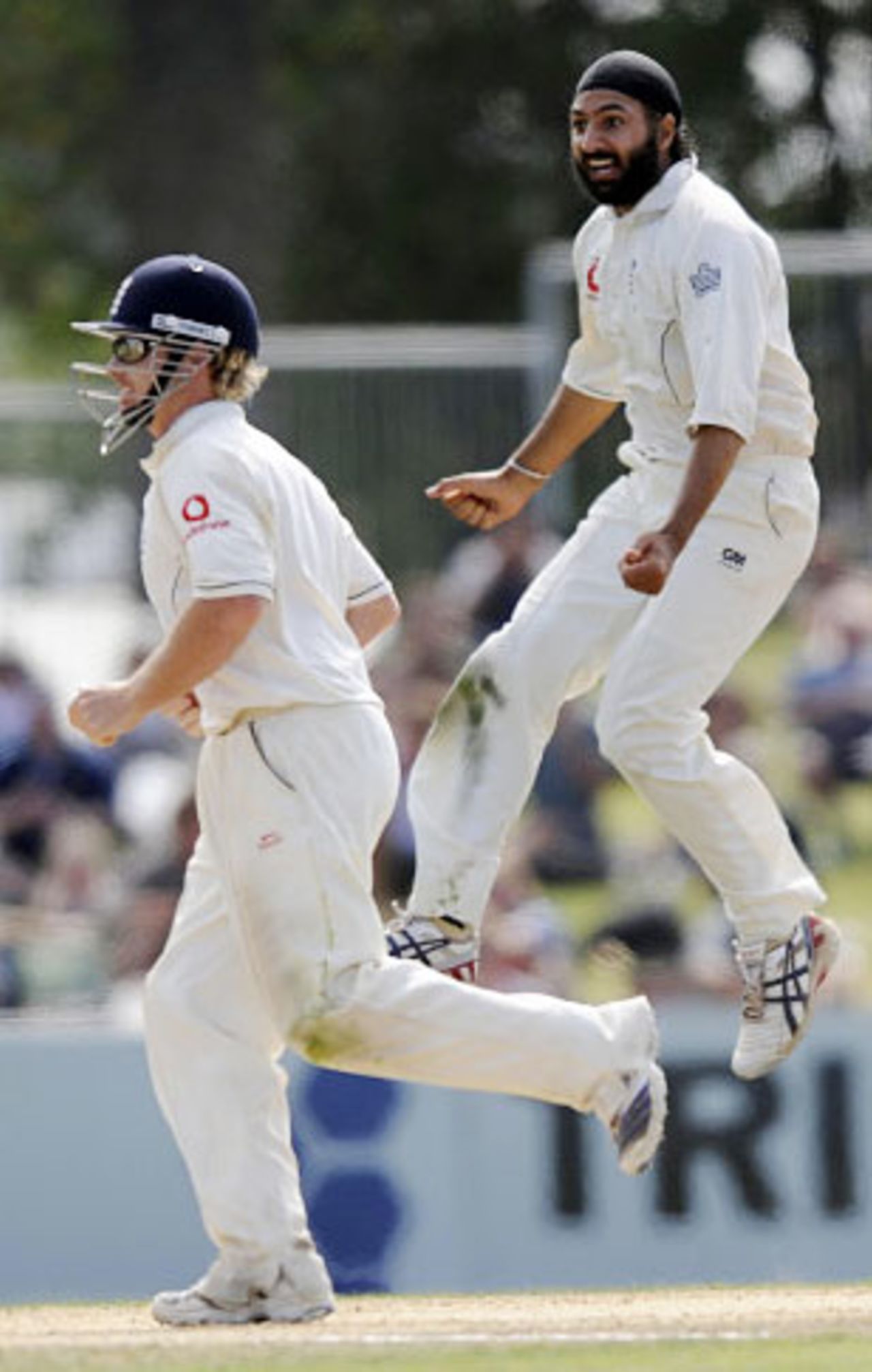 Monty Panesar jumps for joy on taking his sixth wicket, New Zealand v England, 3rd Test, Napier, March 26, 2008