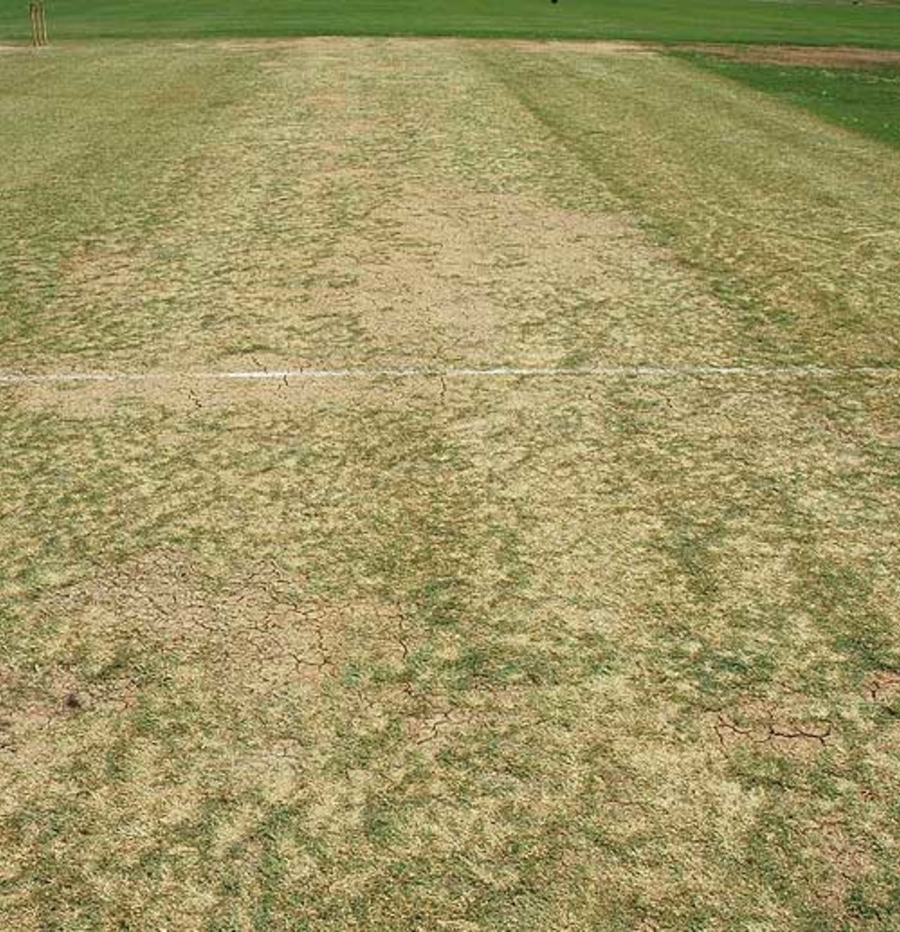 A view of the Queen's Park Oval pitch, Trinidad, March 29, 2008