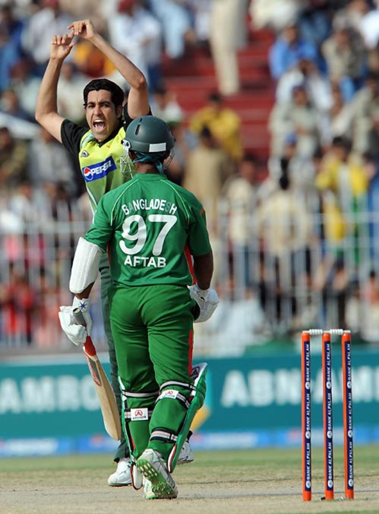 Umar Gul is delighted after trapping Aftab Ahmed lbw, Pakistan v Bangladesh, 2nd ODI, Faisalabad, April 11, 2008 