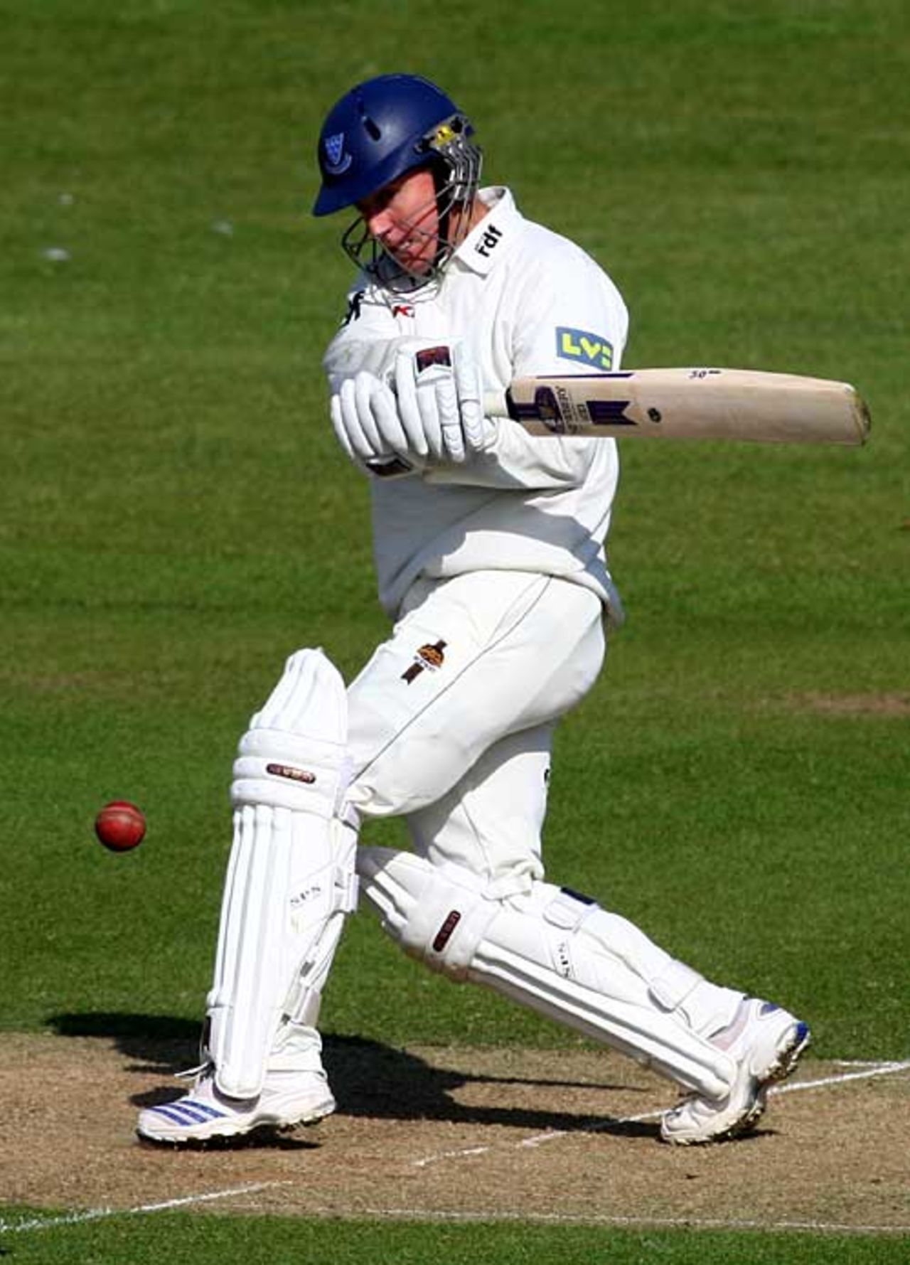 Murray Goodwin fell for 98 after an attractive innings, Sussex v Surrey, County Championship, Hove, May 1, 2008