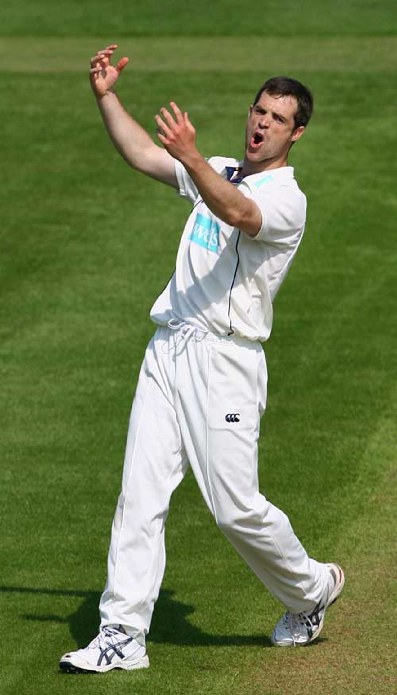 James Tomlinson took the first six Somerset wickets, Somerset v Hampshire, County Championship, Taunton, May 7, 2008
