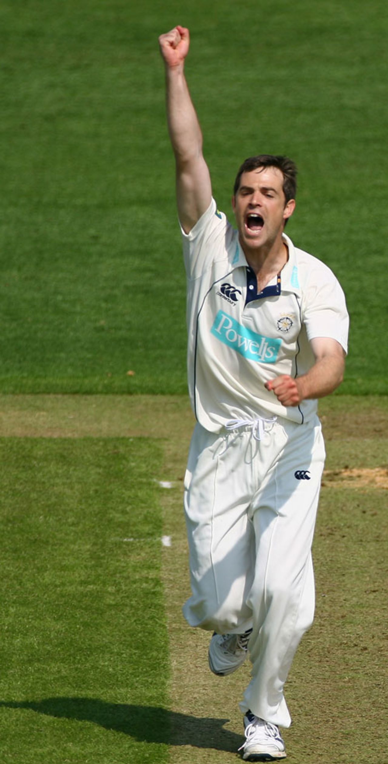 James Tomlinson celebrates one of his eight wickets, Somerset v Hampshire, County Championship, Taunton, May 7, 2008