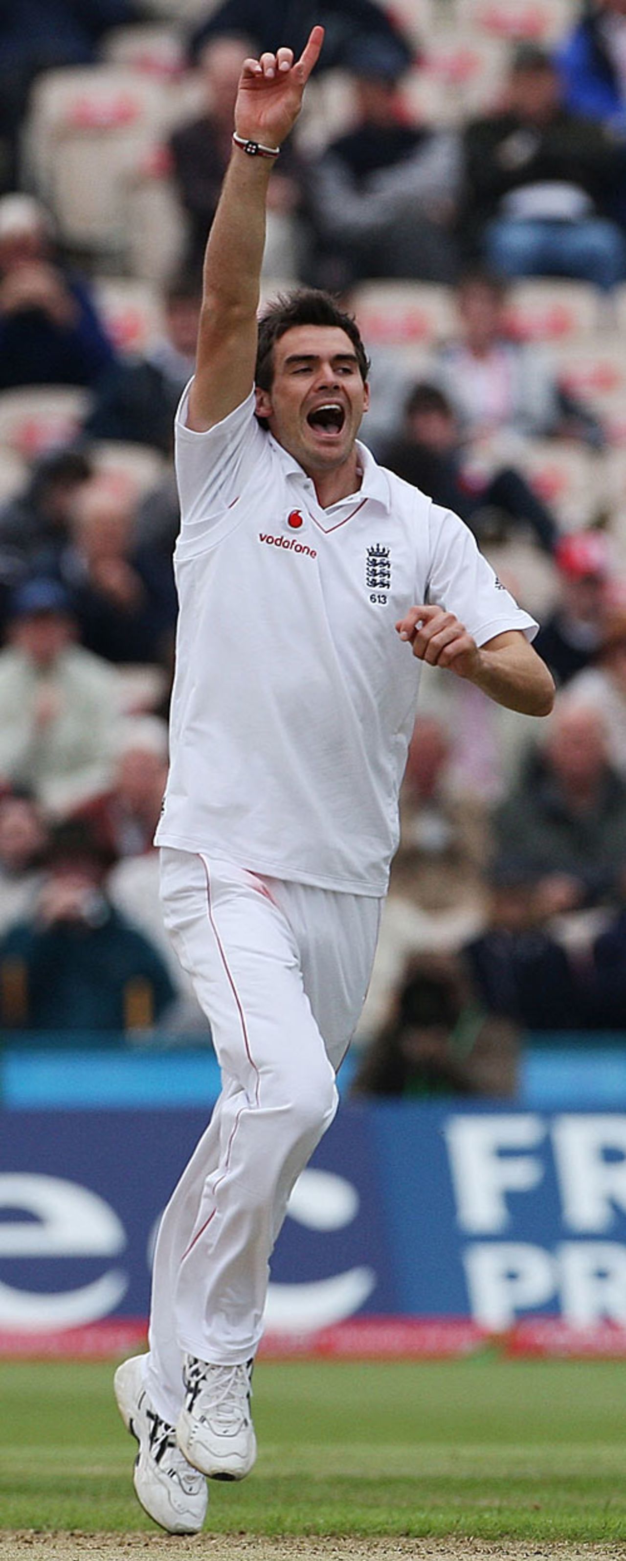 James Anderson celebrates the wicket of Jamie How, England v New Zealand, 2nd Test, Old Trafford, May 23, 2008
