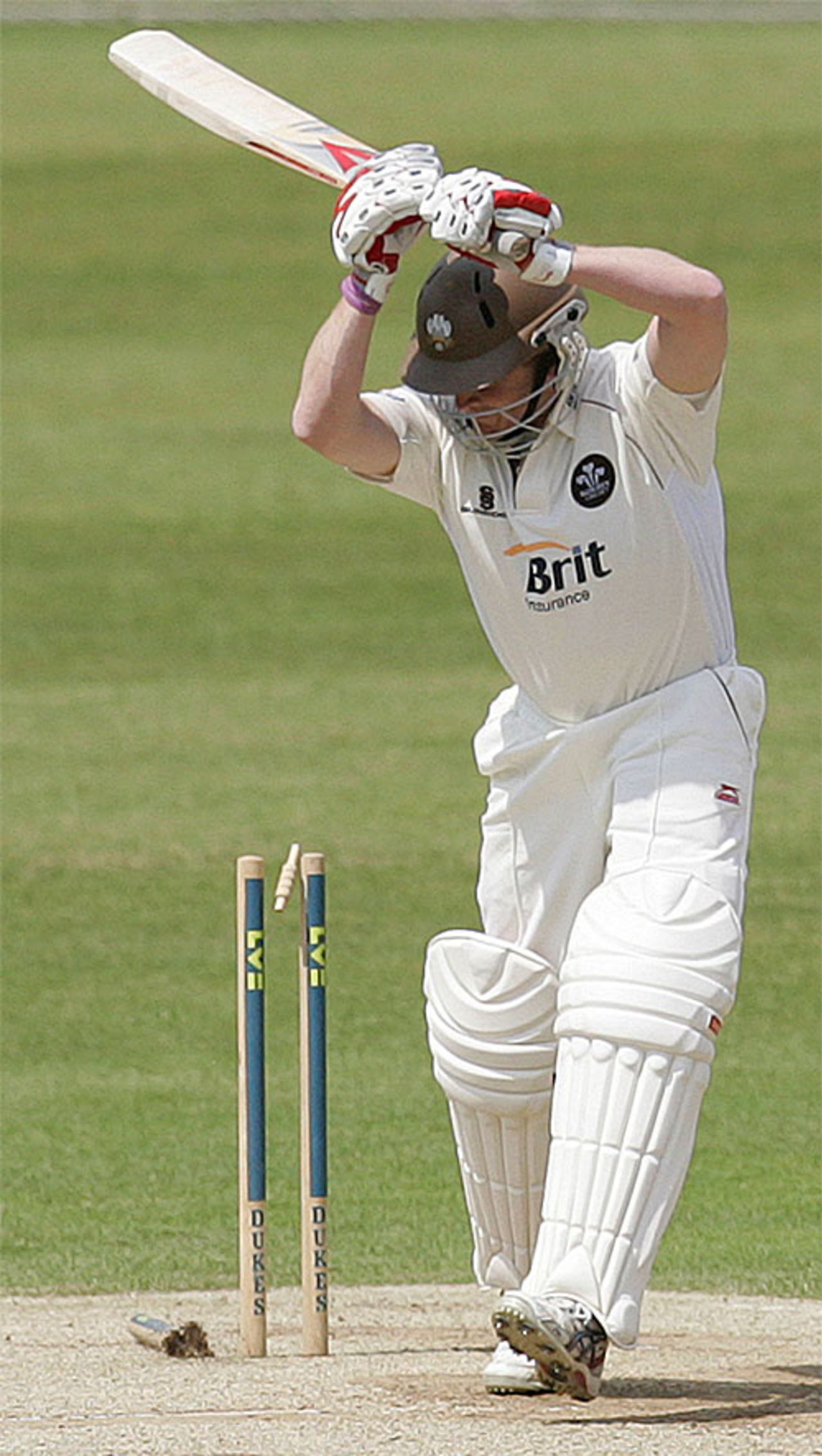 Ali Brown shoulders arms and is bowled by Tim Bresnan, Surrey v Yorkshire, County Championship, The Oval, May 24, 2008