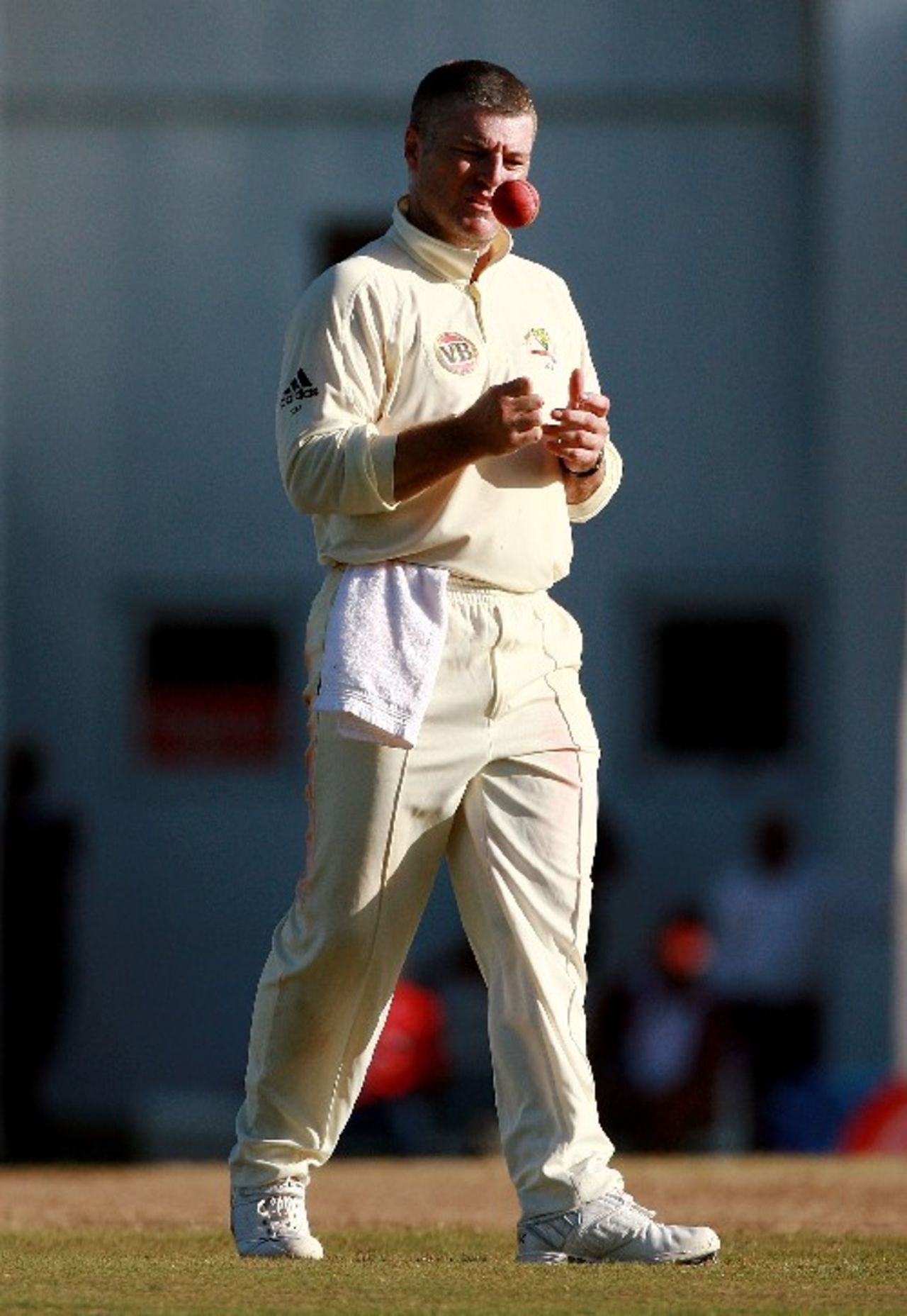 Stuart MacGill prepares to bowl, West Indies v Australia, 2nd Test, Antigua, June 1, 2008