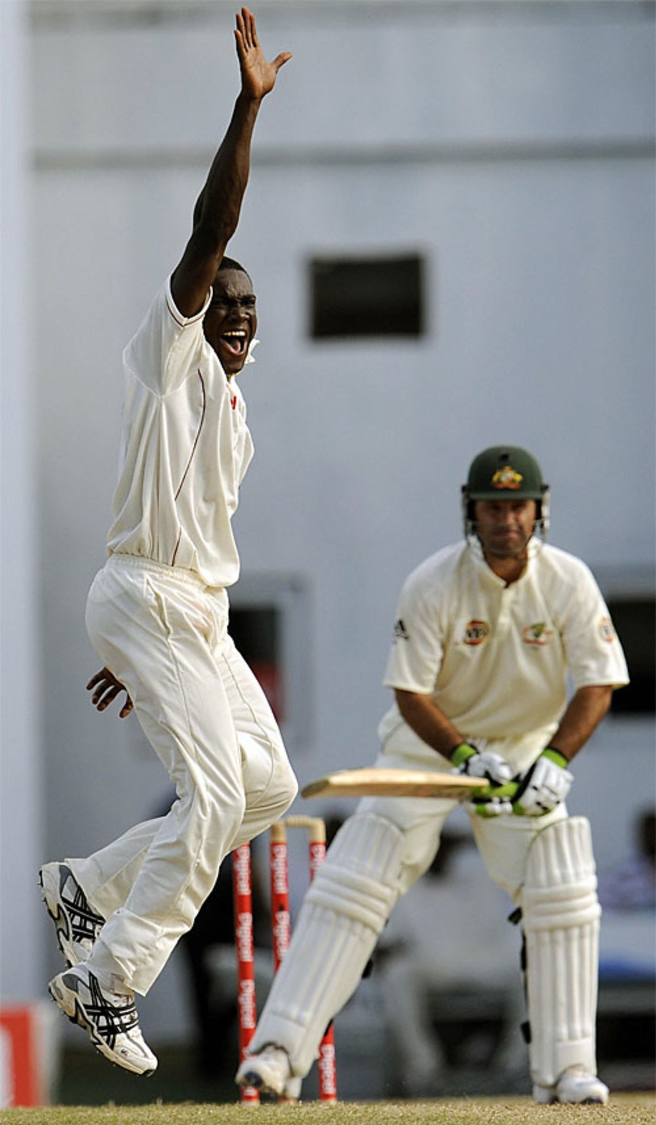 Jerome Taylor is delighted to have dismissed Ricky Ponting, West Indies v Australia, 2nd Test, Antigua, June 2, 2008