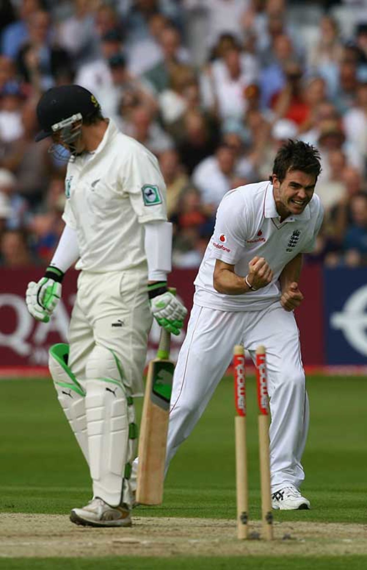 James Anderson enjoys the wicket of Brendon McCullum, England v New Zealand, 3rd Test, Trent Bridge, June 6, 2008
