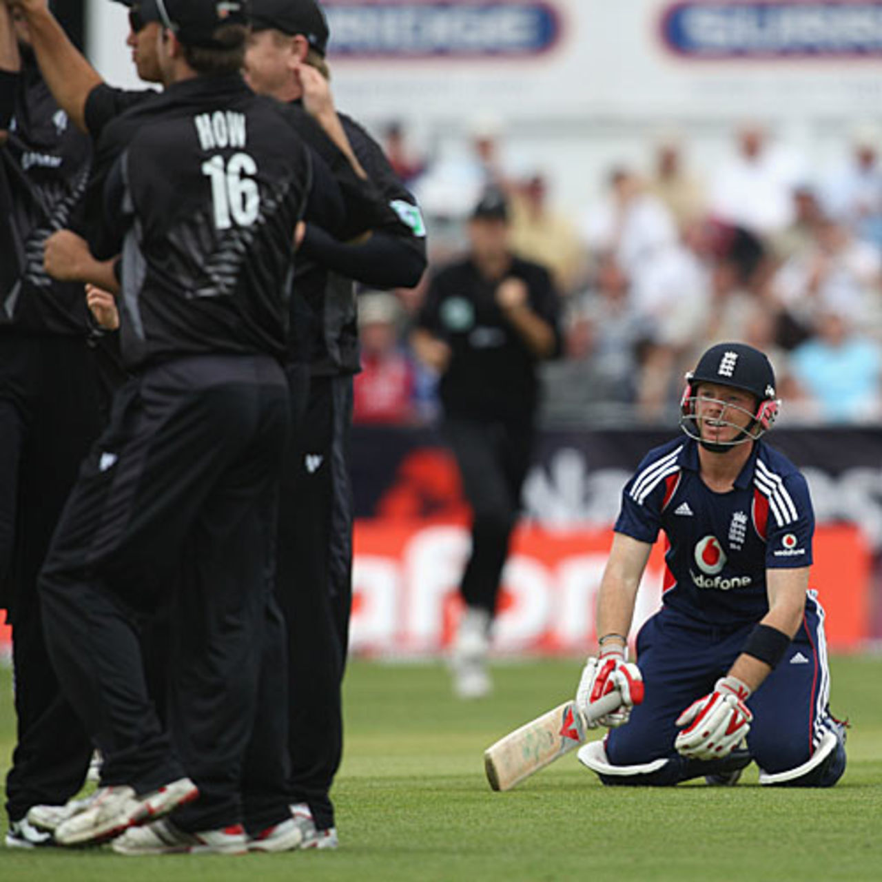 Ian Bell, down on his haunches, rues being run out, England v New Zealand, 1st ODI, Chester-le-Street, June 15, 2008