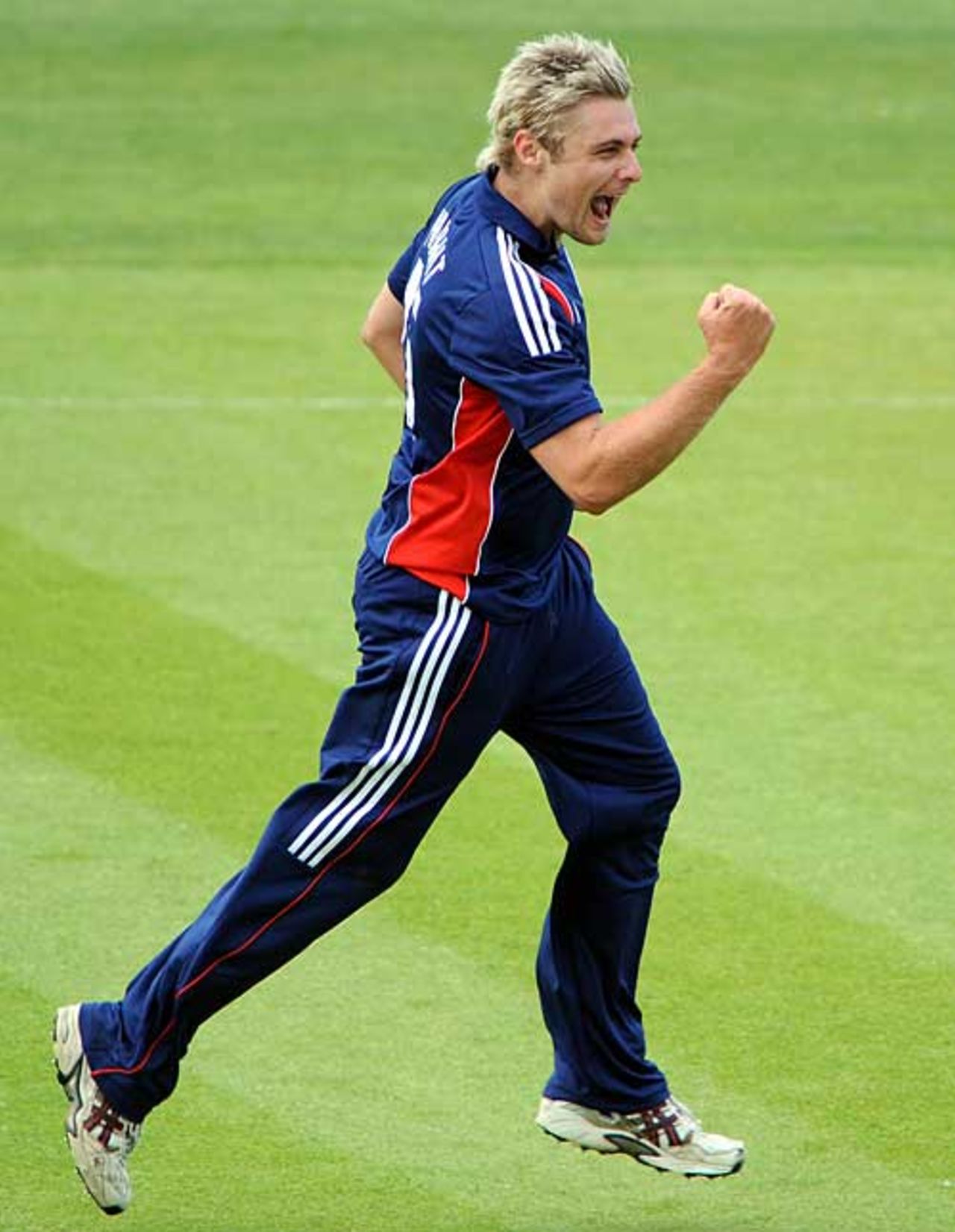Luke Wright celebrates removing Ross Taylor, England v New Zealand, 1st ODI, Chester-le-Street, June 15, 2008