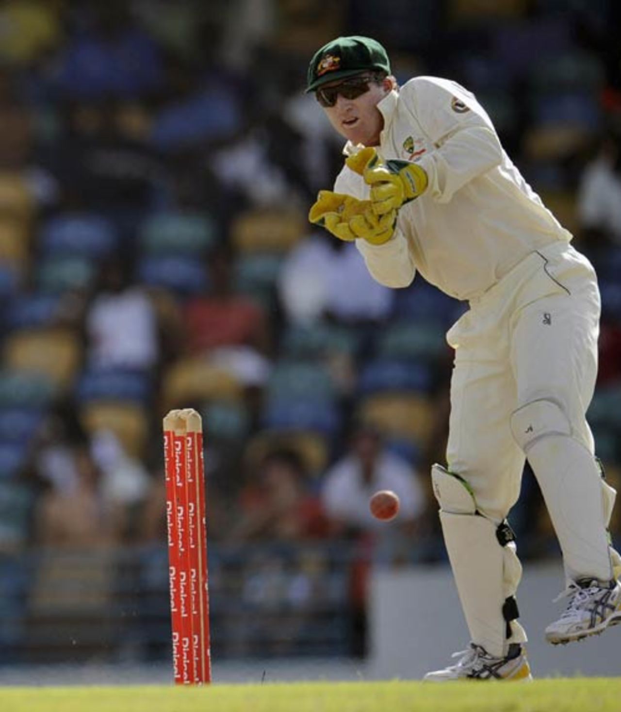 Brad Haddin watches the ball sail through the off side, West Indies v Australia, 3rd Test, Barbados, 4th day, June 15, 2008