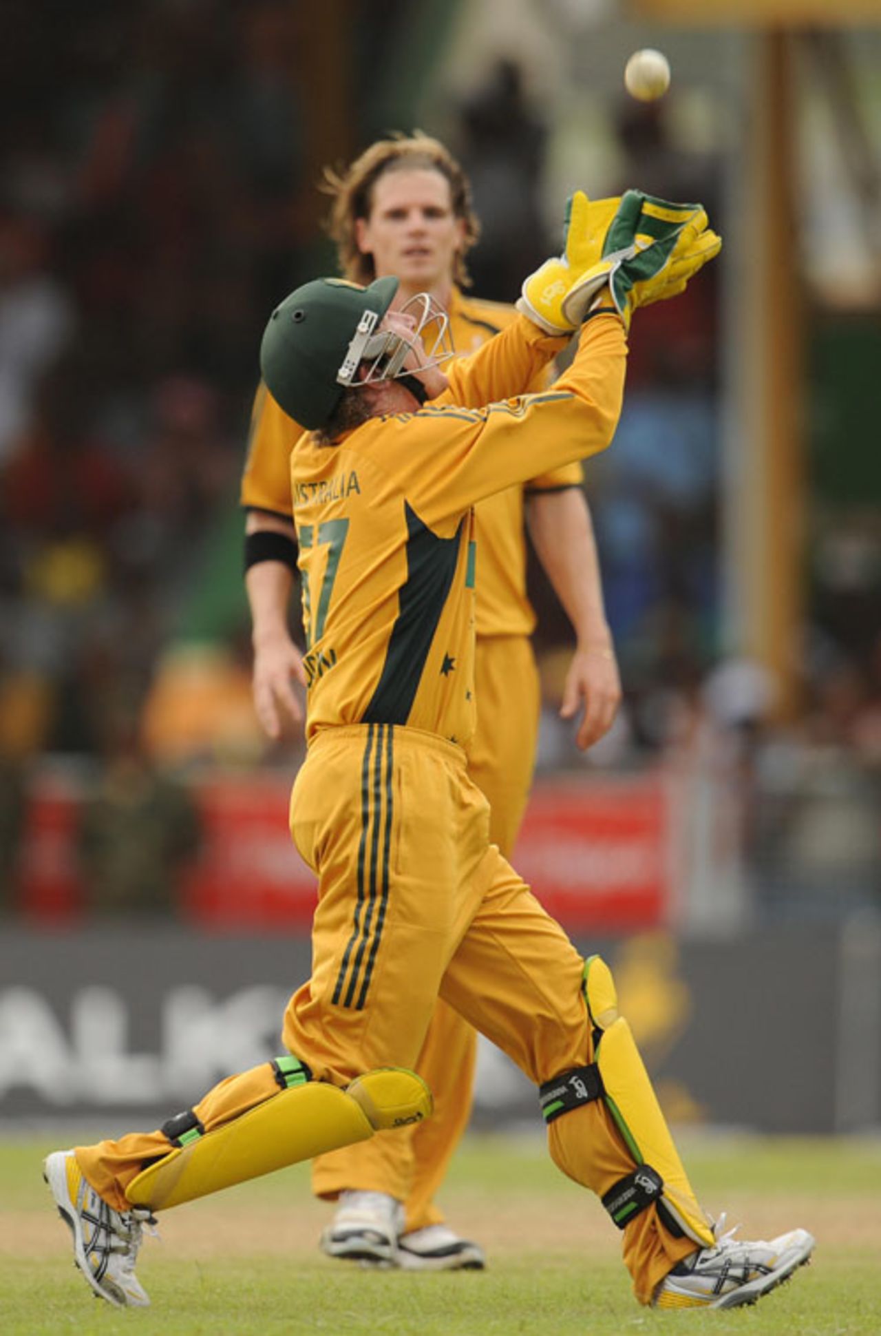 Brad Haddin takes a skied catch to remove Jerome Taylor, West Indies v Australia, 1st ODI, St Vincent, June 24, 2008