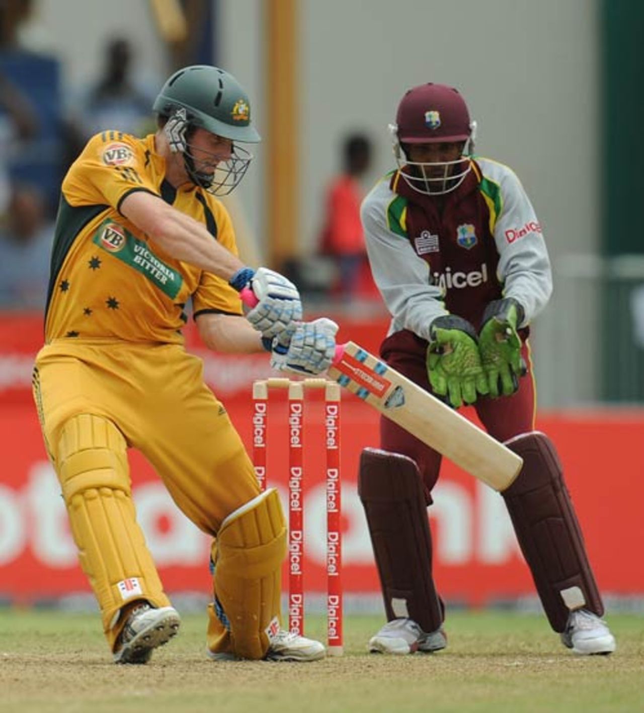 Shaun Marsh cuts on his way to 81, West Indies v Australia, 1st ODI, St Vincent, June 24, 2008