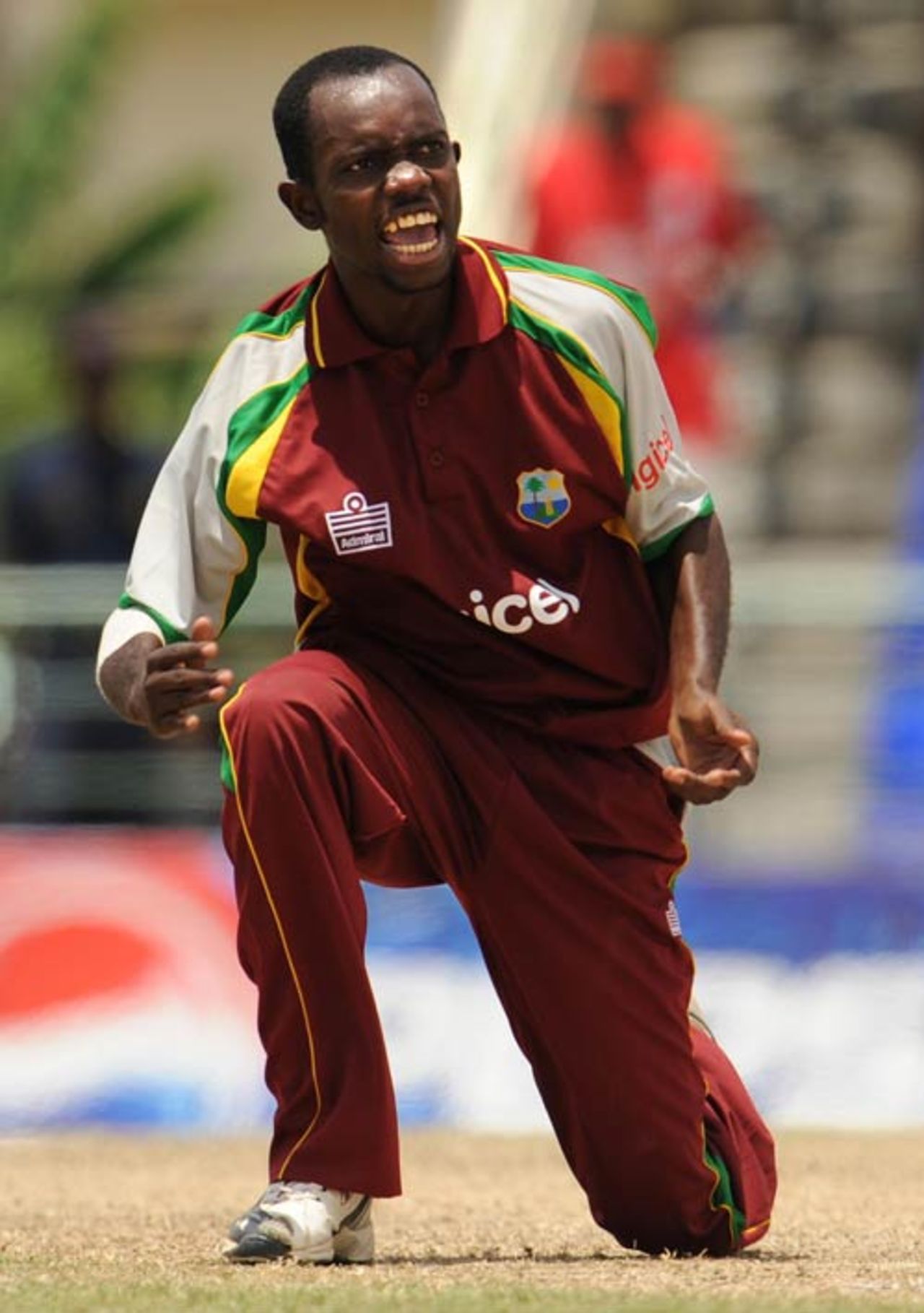 Nikita Miller celebrates his first one-day international wicket, West Indies v Australia, 4th ODI, St Kitts, July 4, 2008