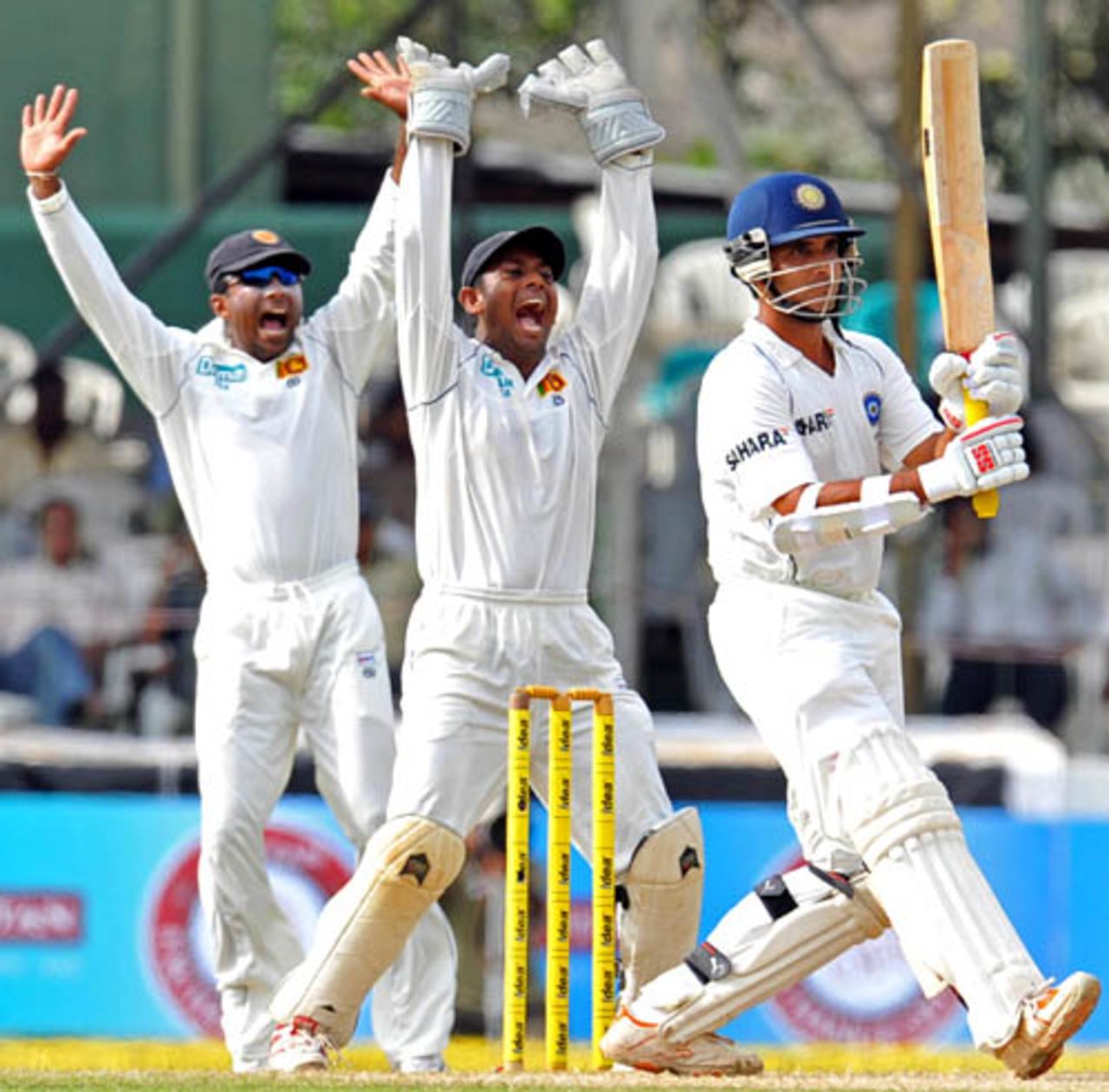 The Jayawardenes - Mahela and Prasanna - make a confident appeal against Sourav Ganguly, Sri Lanka v India, 1st Test, SSC, Colombo, 3rd day, July 25, 2008