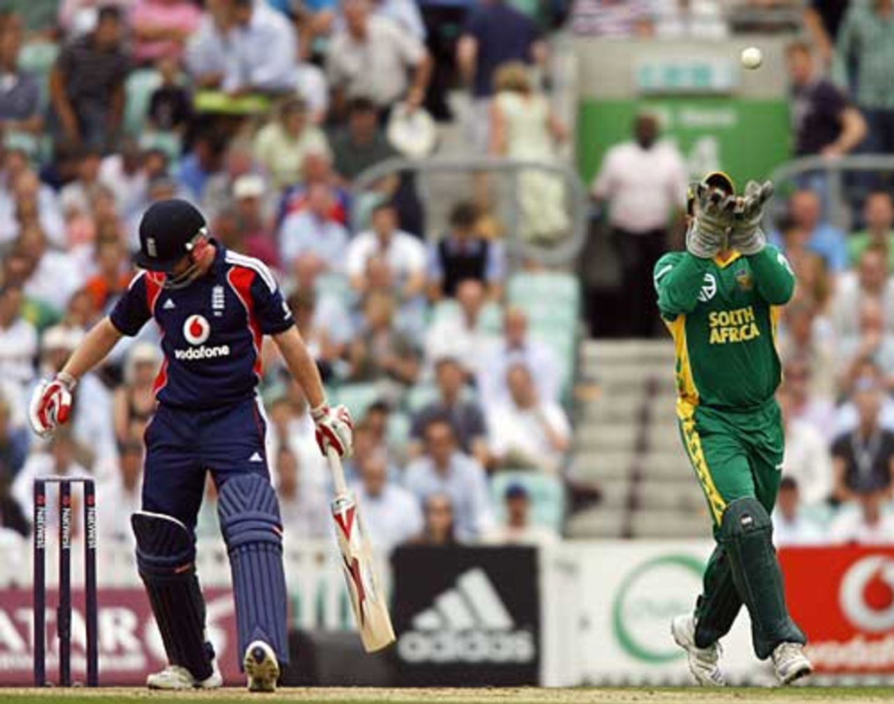 Mark Boucher takes a bat-pad chance off Paul Collingwood, England v South Africa, 3rd ODI, The Oval, August 29, 2008