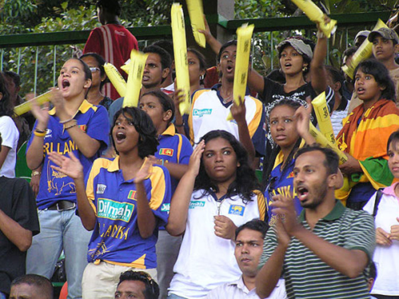 Sri Lankan spectators egg on their team, Sri Lanka v India, 5th ODI, Colombo, August 29, 2008 
