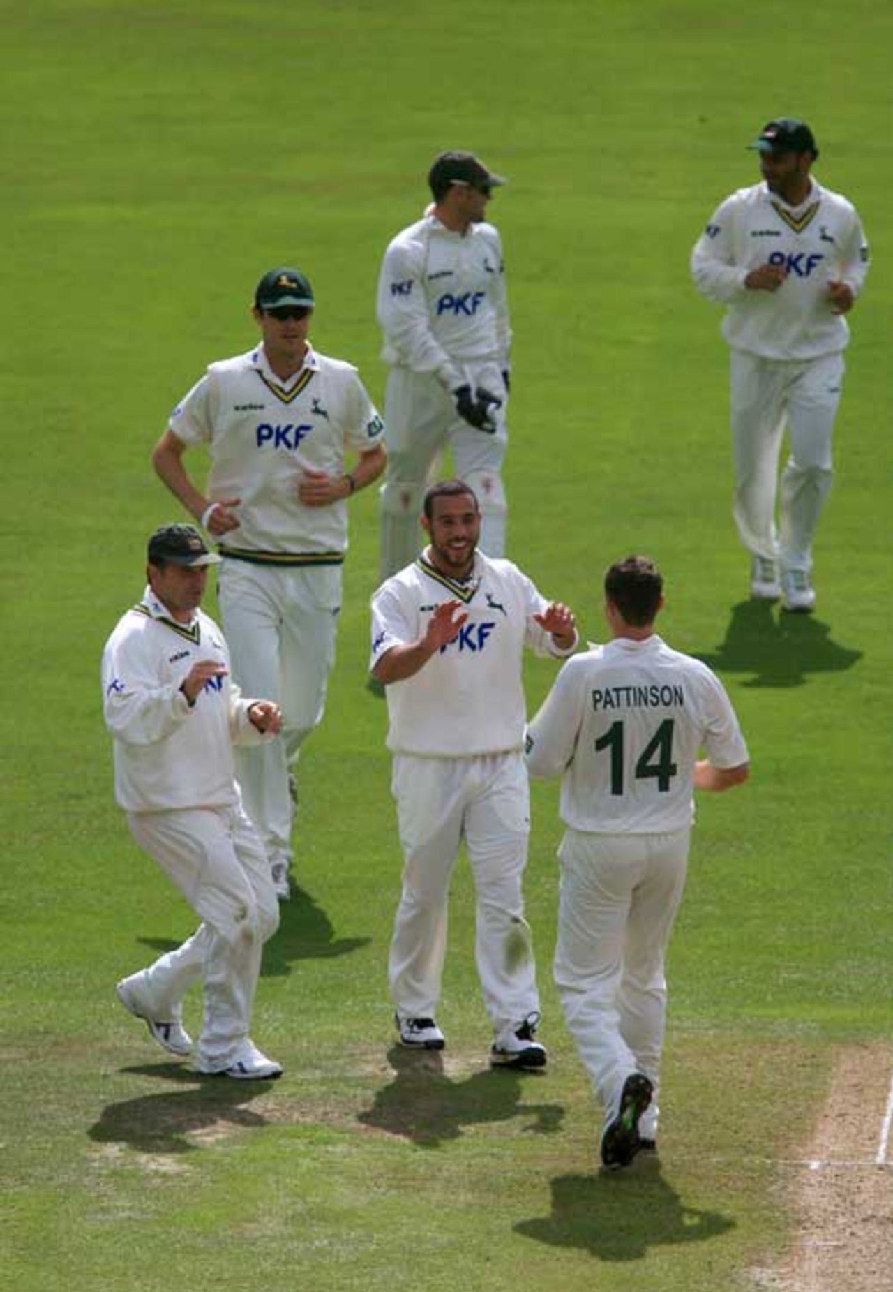 Darren Pattinson and Andre Adams celebrate the wicket of Wesley Durston, Nottinghamshire v Somerset, Trent Bridge, County Championship, 2008 