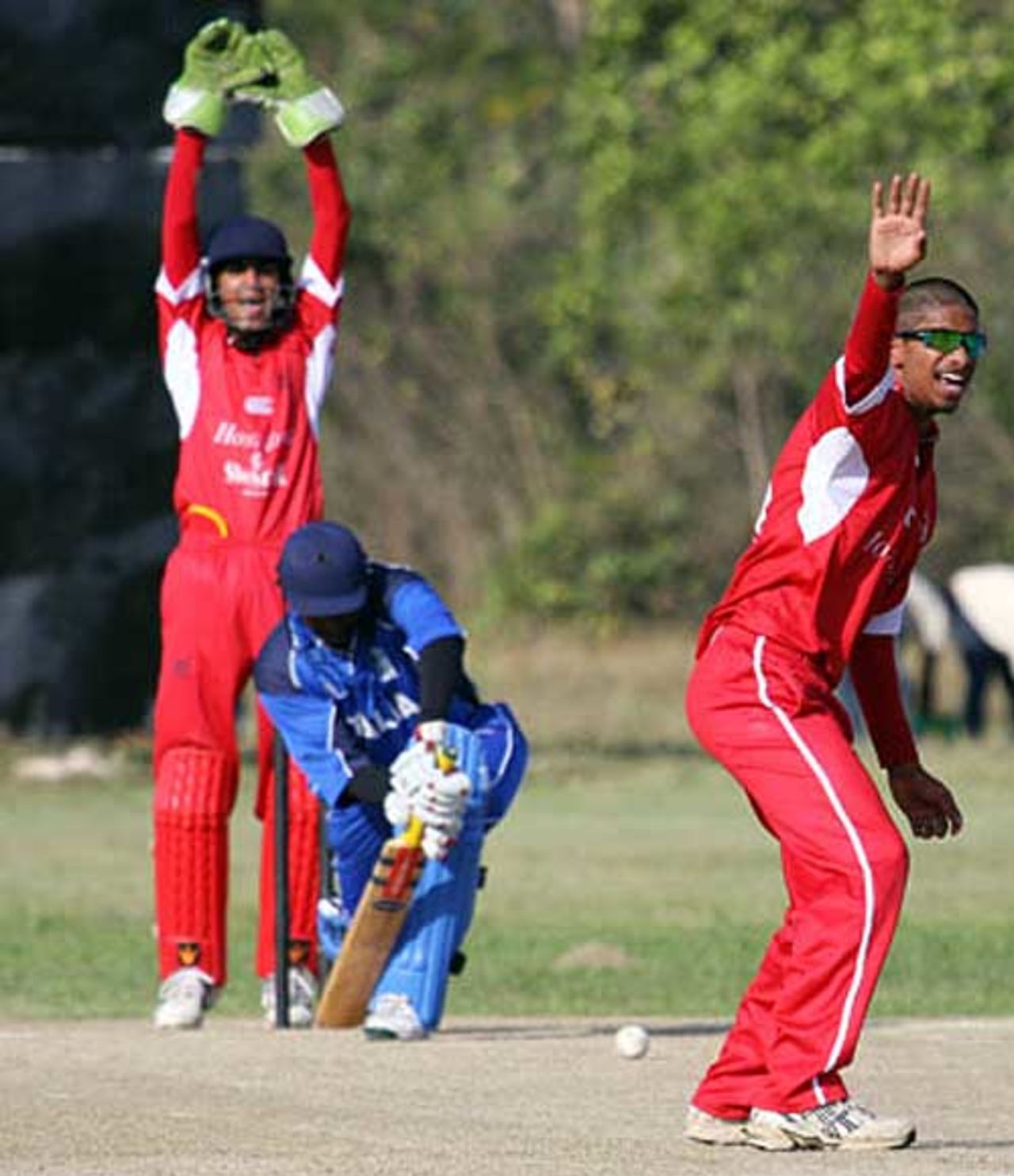 Nadeem Ahmed appeals for a wicket, Hong Kong v Italy, ICC World Cricket League Division Four, Dar-es-Salaam, October 4, 2008