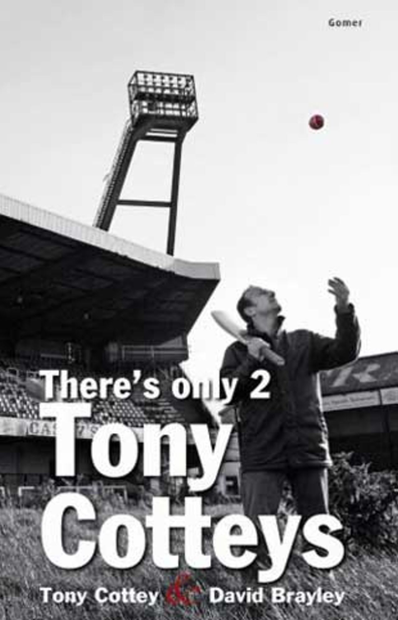 Cover image of <i>There's Only 2 Tony Cotteys</i>