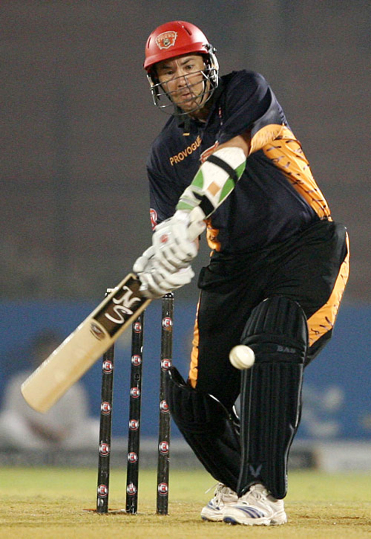Craig McMillan hit 31 off 26 balls, Hyderabad Heroes v Royal Bengal Tigers, Ahmedabad, ICL, November 8, 2008