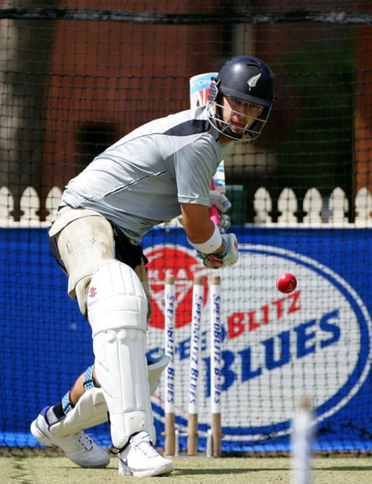 Daniel Vettori bats in the nets, Sydney, November 11, 2008