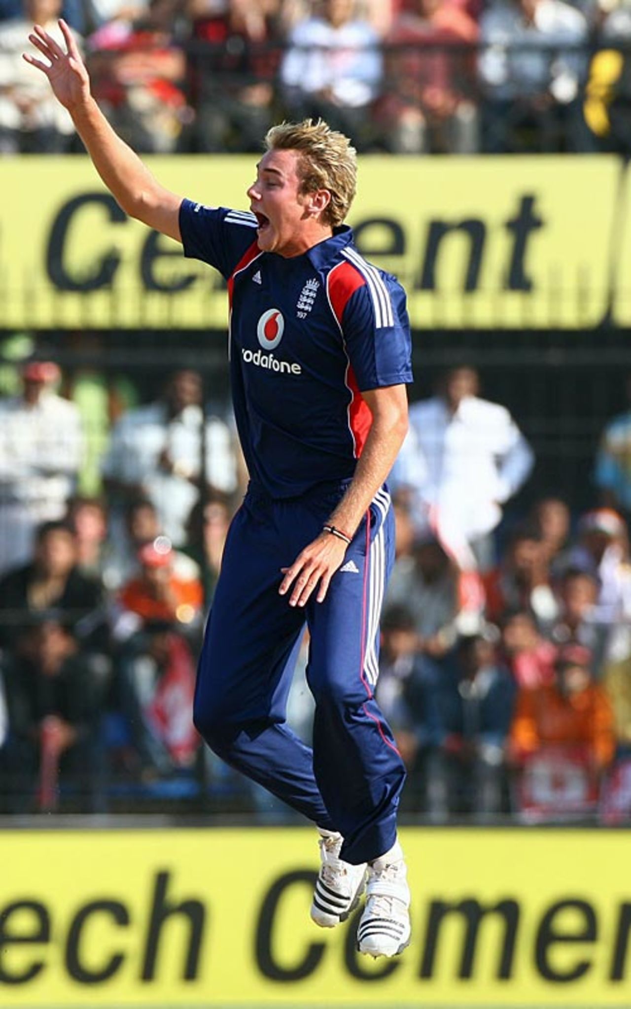 Stuart Broad is delighted after getting Rohit Sharma's wicket, India v England, 2nd ODI, Indore, November 17, 2008