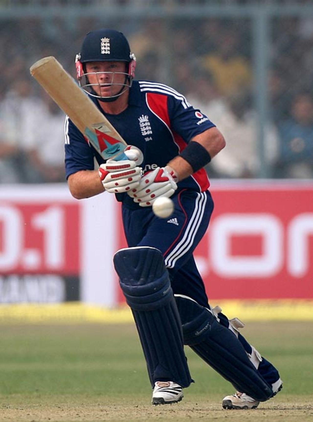 Ian Bell drives on the up, India v England, 3rd ODI, Kanpur, November 20, 2008