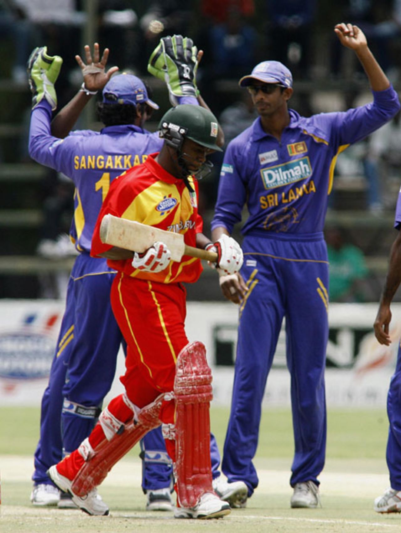 Sri Lanka celebrate Stuart Matsikenyeri's dismissal as Zimbabwe collapse, Zimbabwe v Sri Lanka, 1st ODI, Harare, November 20, 2008