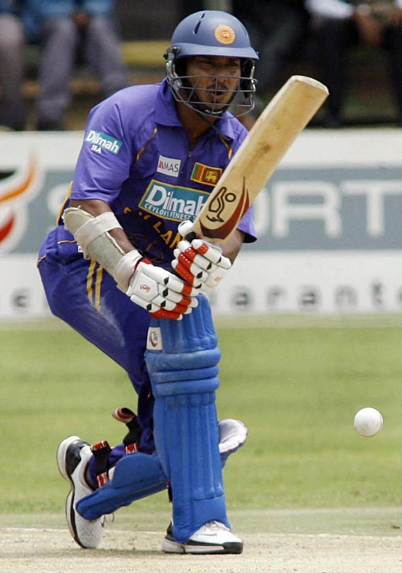 Kumar Sangakkara scored 46 not out, Zimbabwe v Sri Lanka, 1st ODI, Harare, November 20, 2008