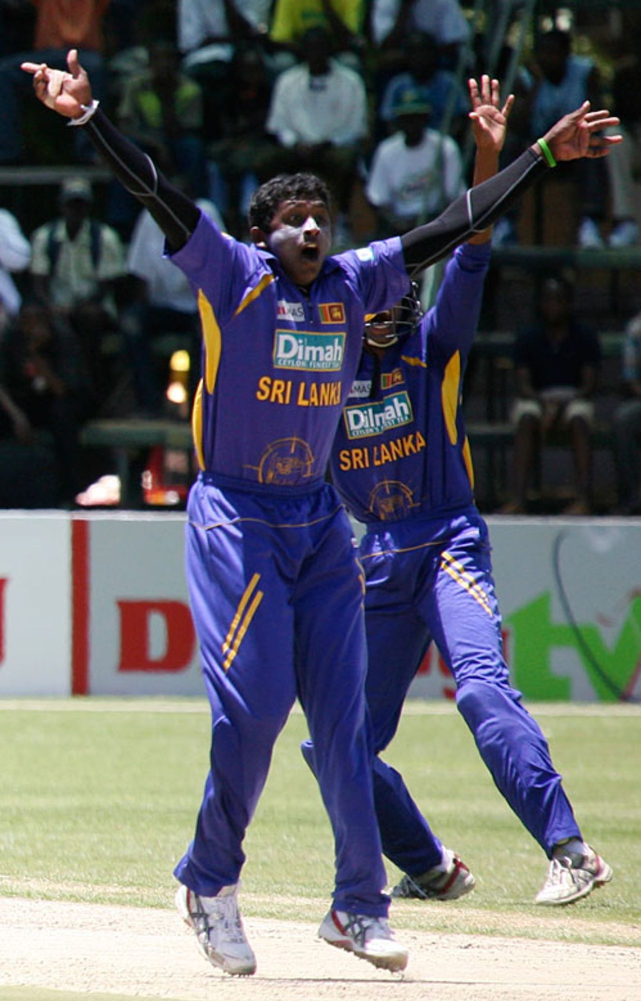 Ajantha Mendis successfully appeals for lbw against Stuart Matsikenyeri, Zimbabwe v Sri Lanka, 4th ODI, Harare, November 28, 2008