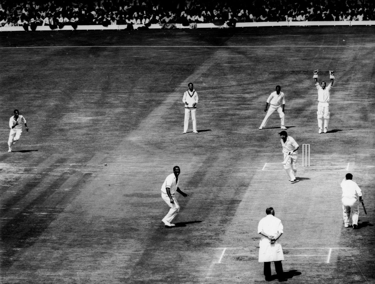 Tom Graveney calls for a quick single while Wes Hall appeals for an lbw, 5th Test, The Oval, 3rd day, August 20, 1966
