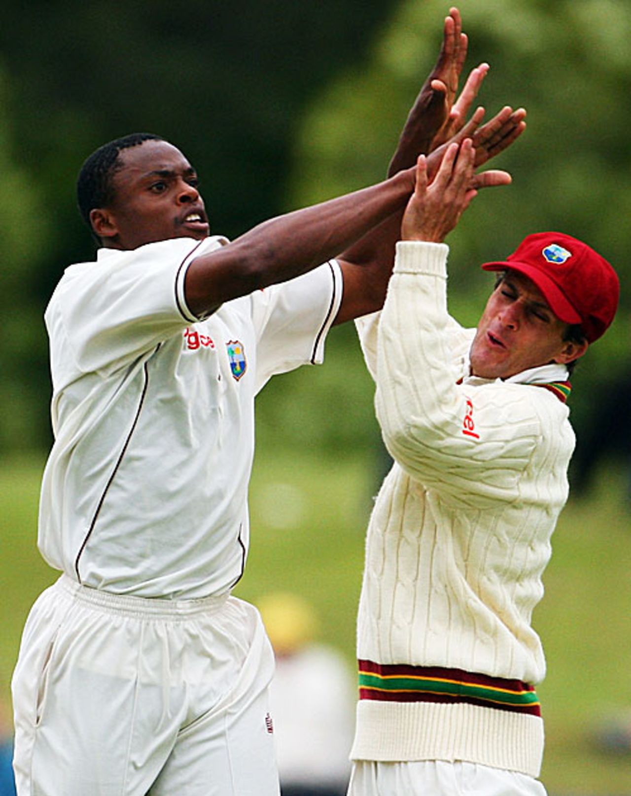 Daren Powell and Brendan Nash celebrate a late strike, New Zealand v West Indies, 1st Test, Dunedin, 4th day, December 14, 2008