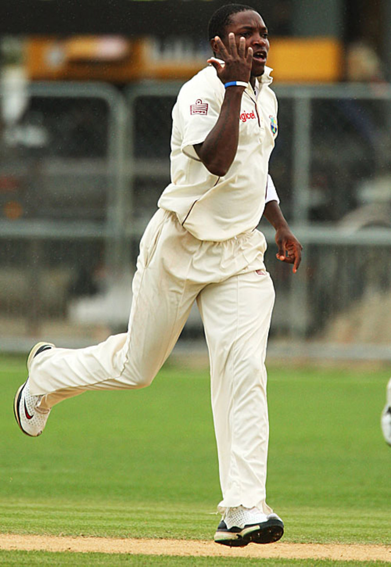 Fidel Edwards does his trademark celebration after trapping Jesse Ryder, New Zealand v West Indies, 2nd Test, Napier, 3rd day, December 21, 2008